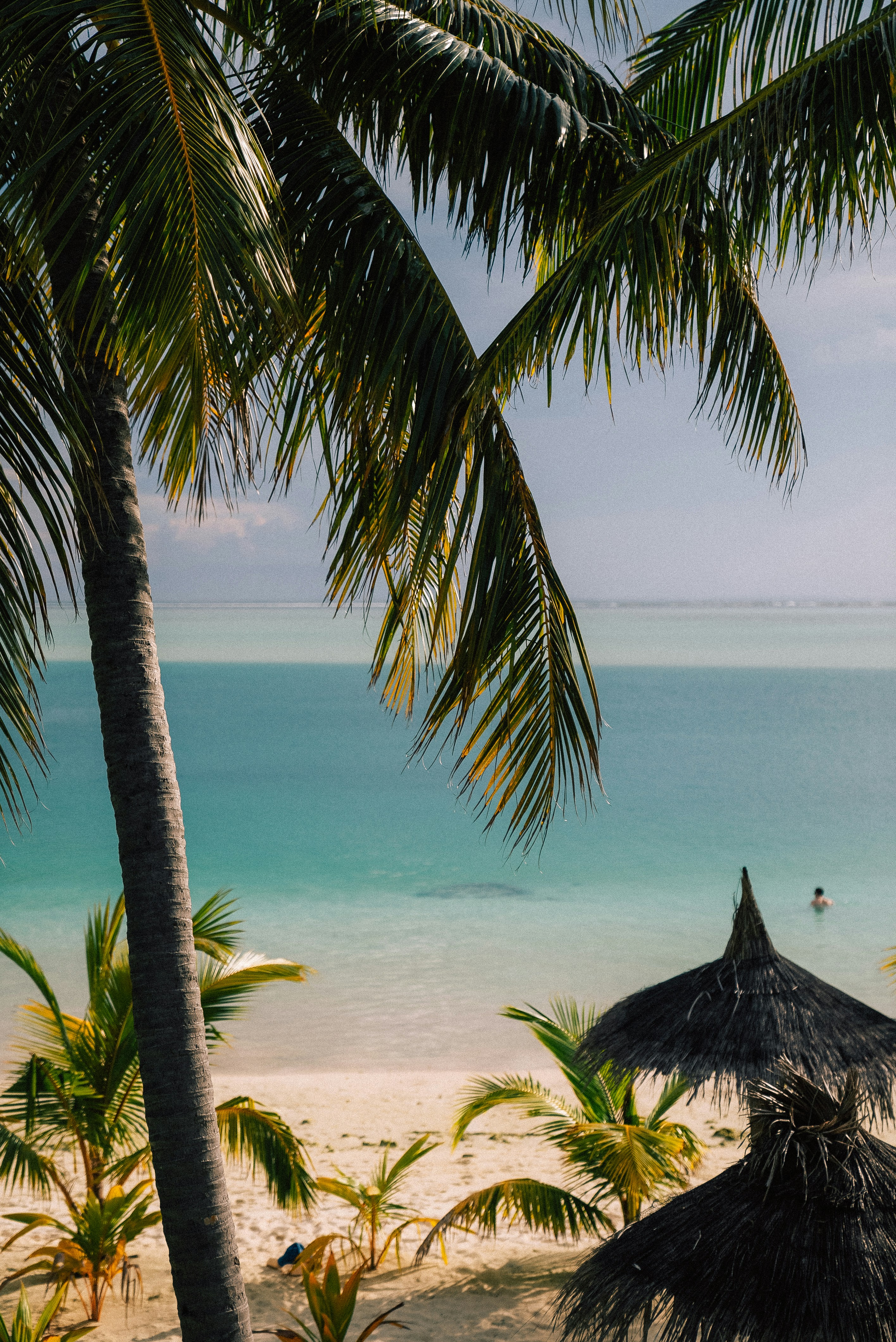 Photo by sergiujurca