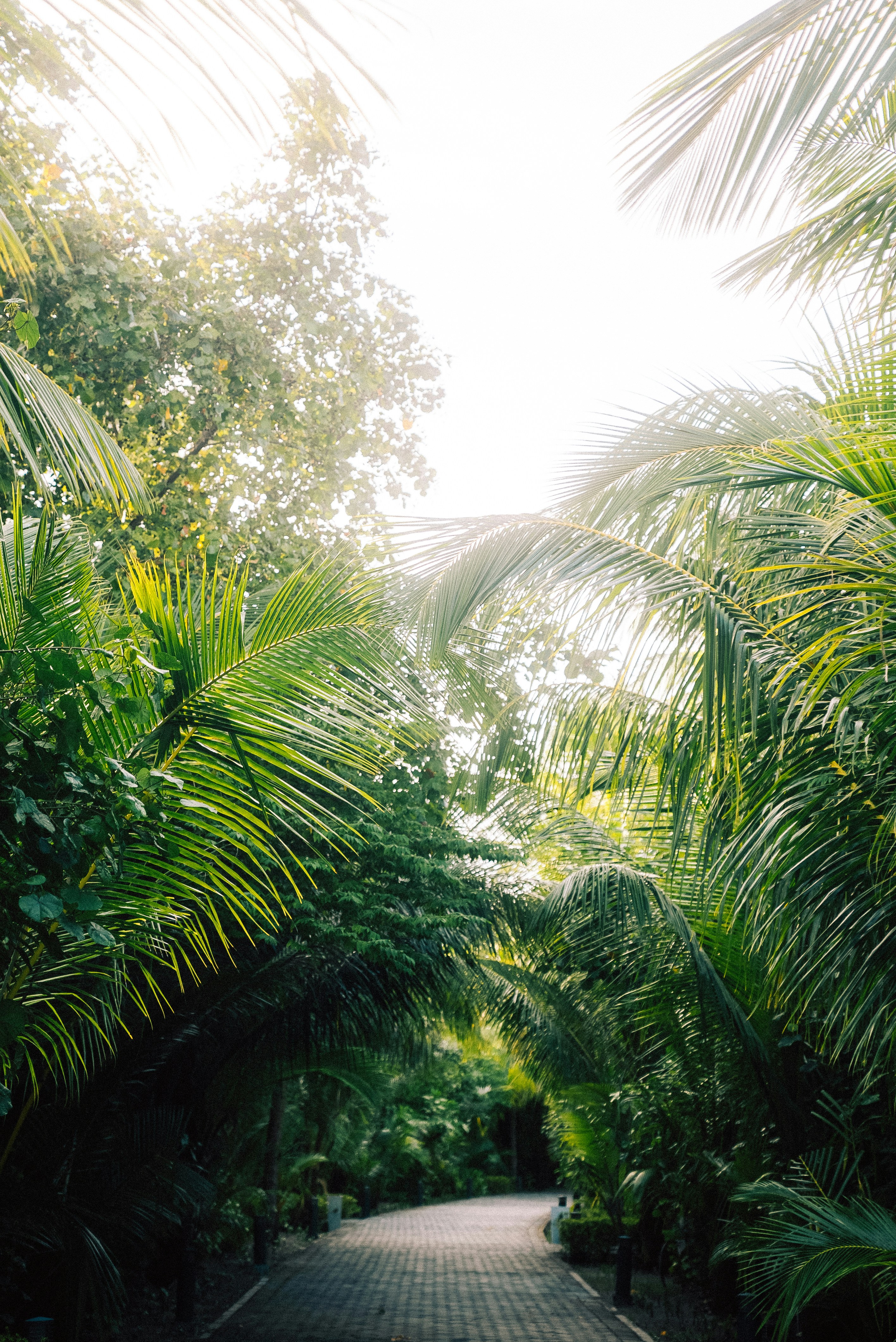 Photo by sergiujurca