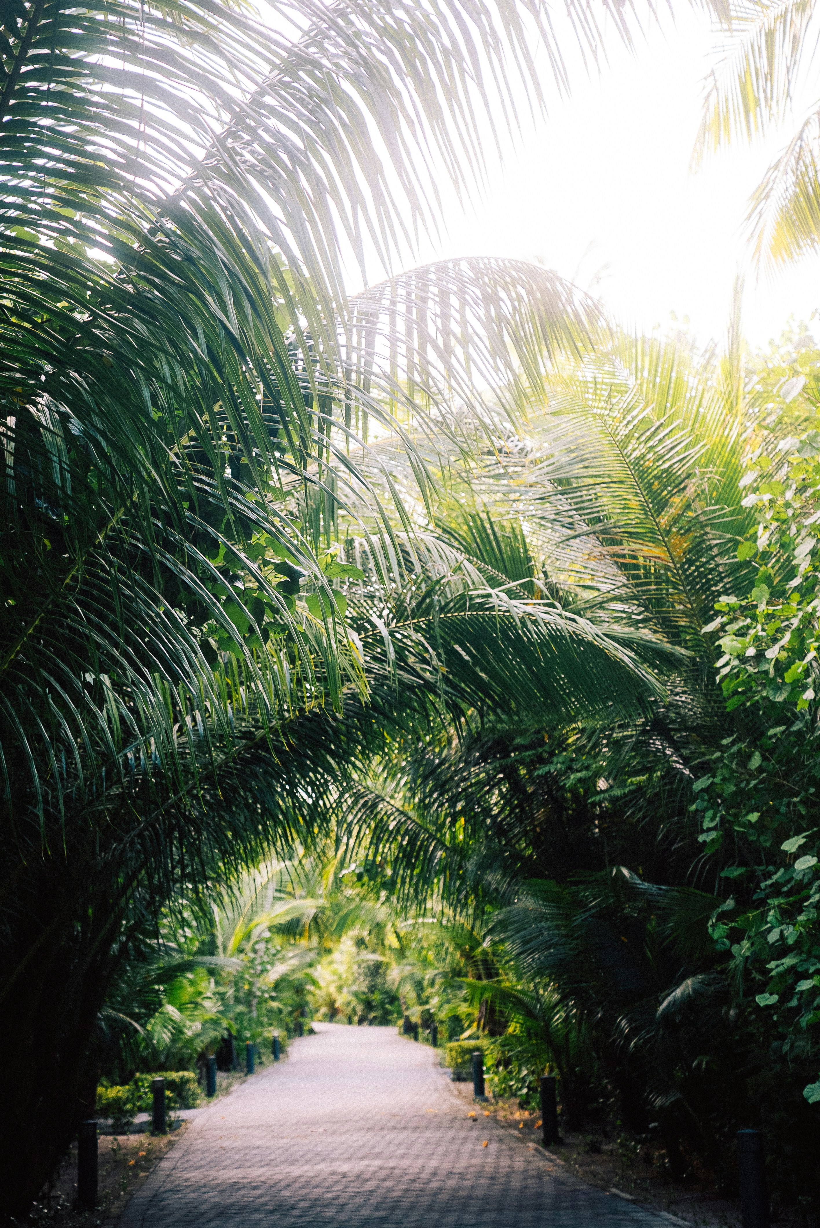 Photo by sergiujurca