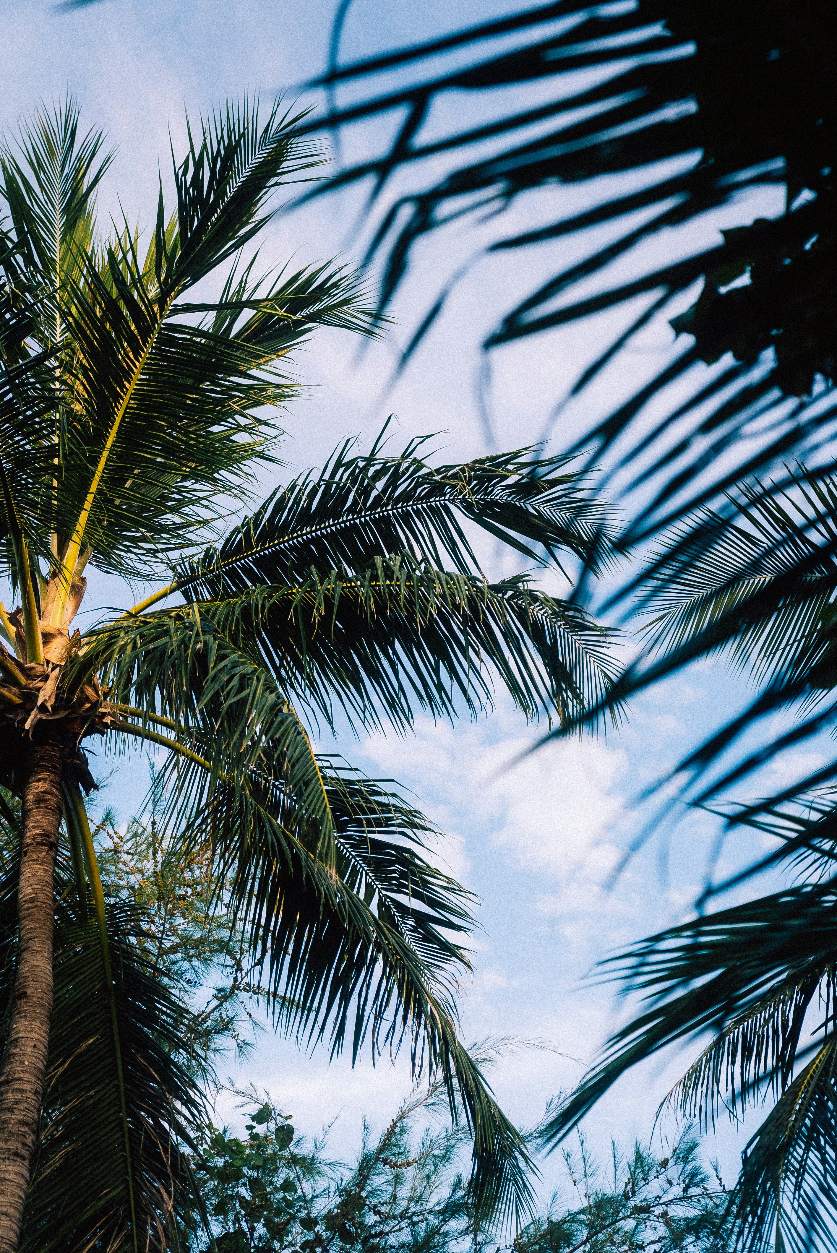 Photo by sergiujurca