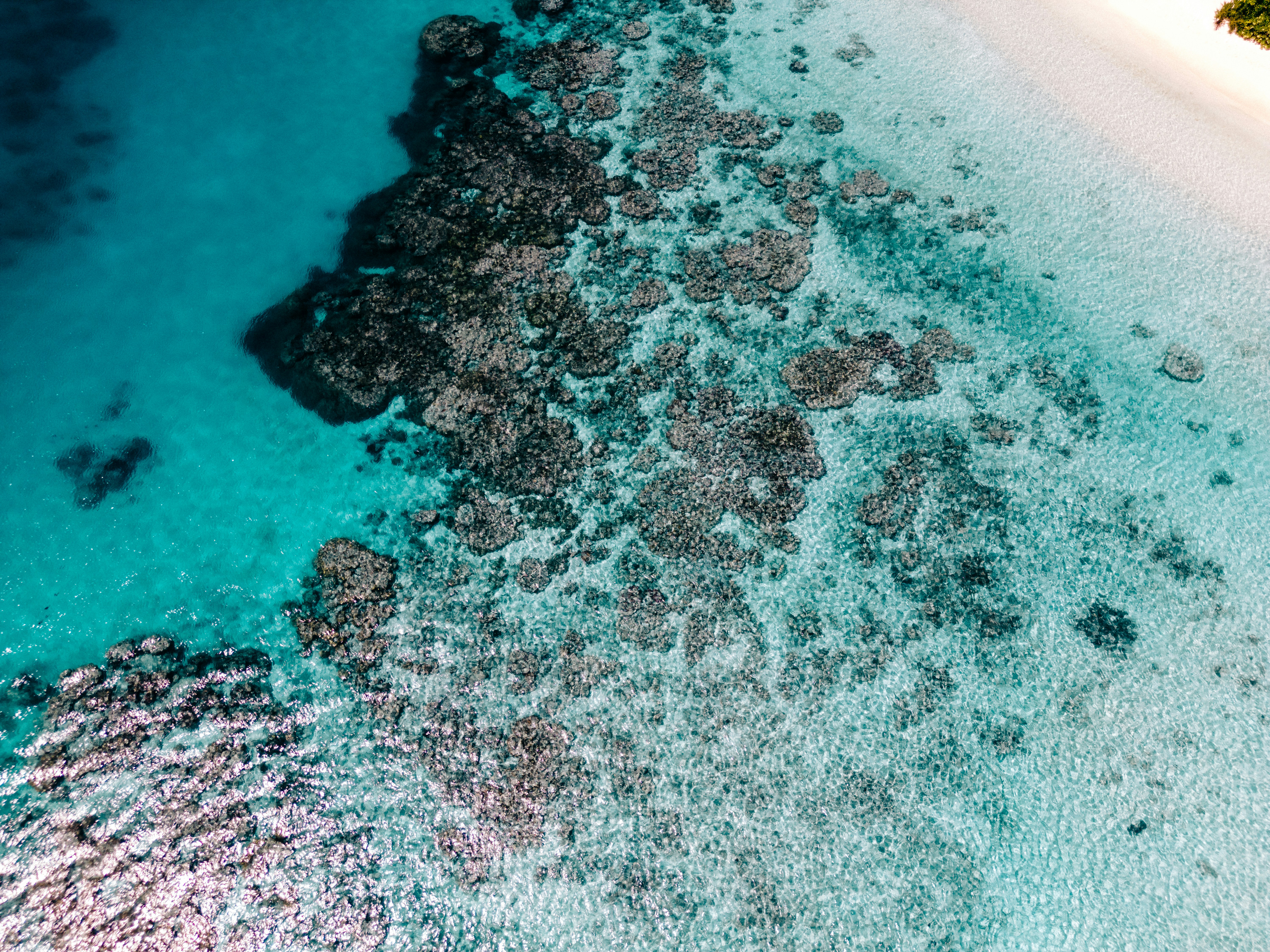 Photo by sergiujurca