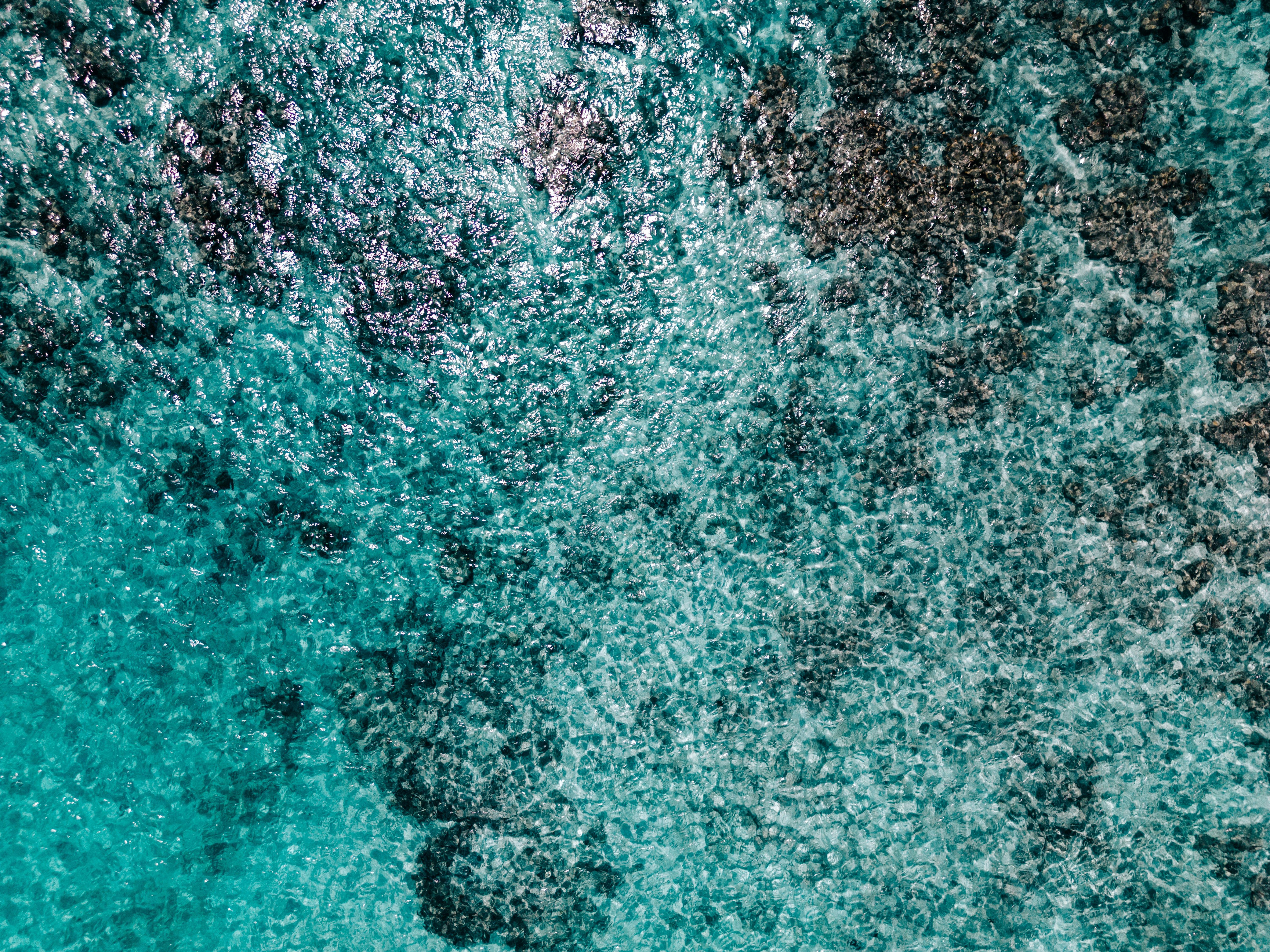 Photo by sergiujurca