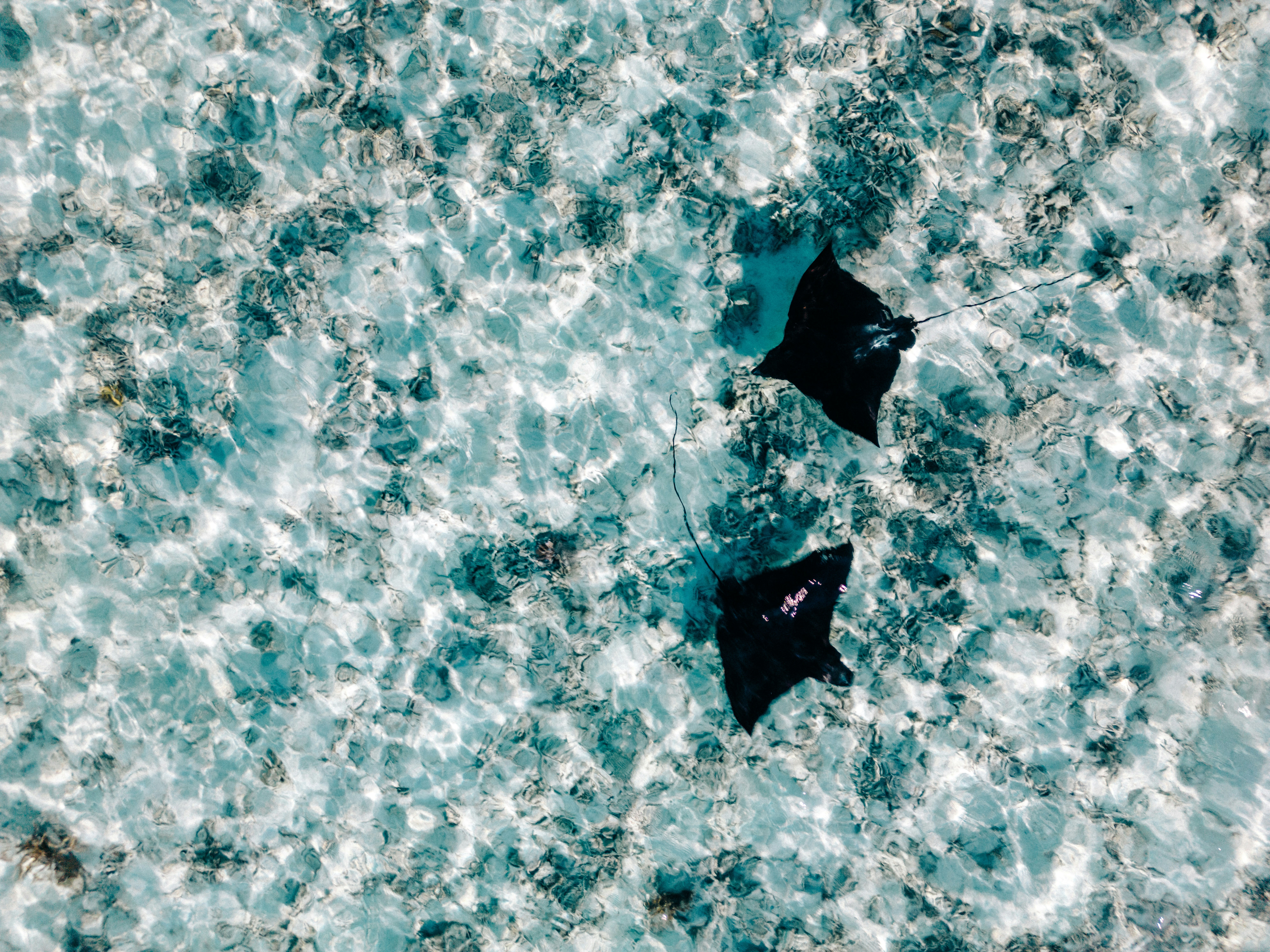 Navigation and Mental Mapping (image credits: unsplash)