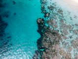 Crystal-clear waters around Neil Island showing colorful coral reefs beneath.