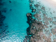 A panoramic view of the Caribbean Sea from a cliff with bright coral reefs visible underwater.