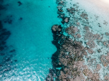 An aerial view of the crystal-clear Bahamian waters and coral reefs.