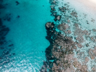 An aerial view of the crystal-clear Bahamian waters and coral reefs.