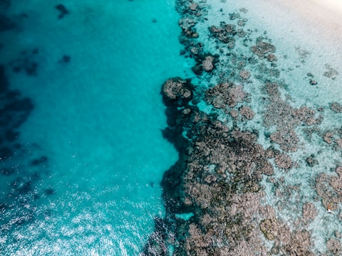 Balcony view overlooking the Red Sea with colorful coral reefs visible beneath the water