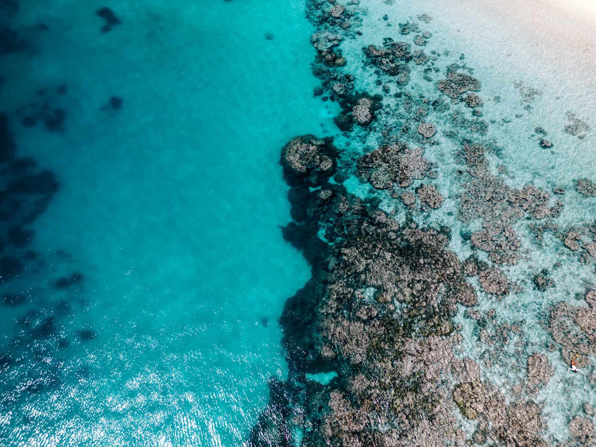 woman wearing yellow long-sleeved dress under white clouds and blue sky during daytime