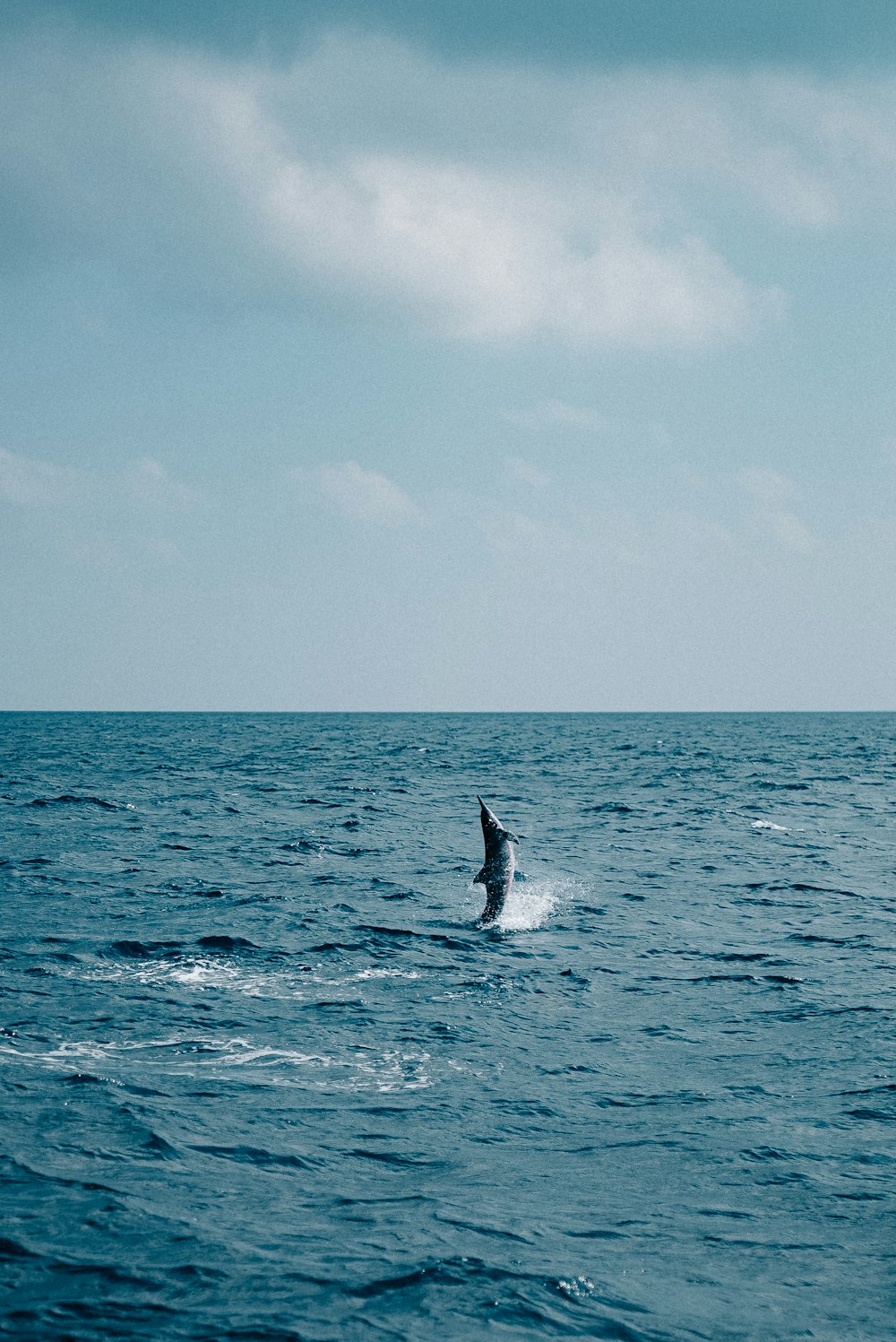 a person riding a surfboard in the middle of the ocean