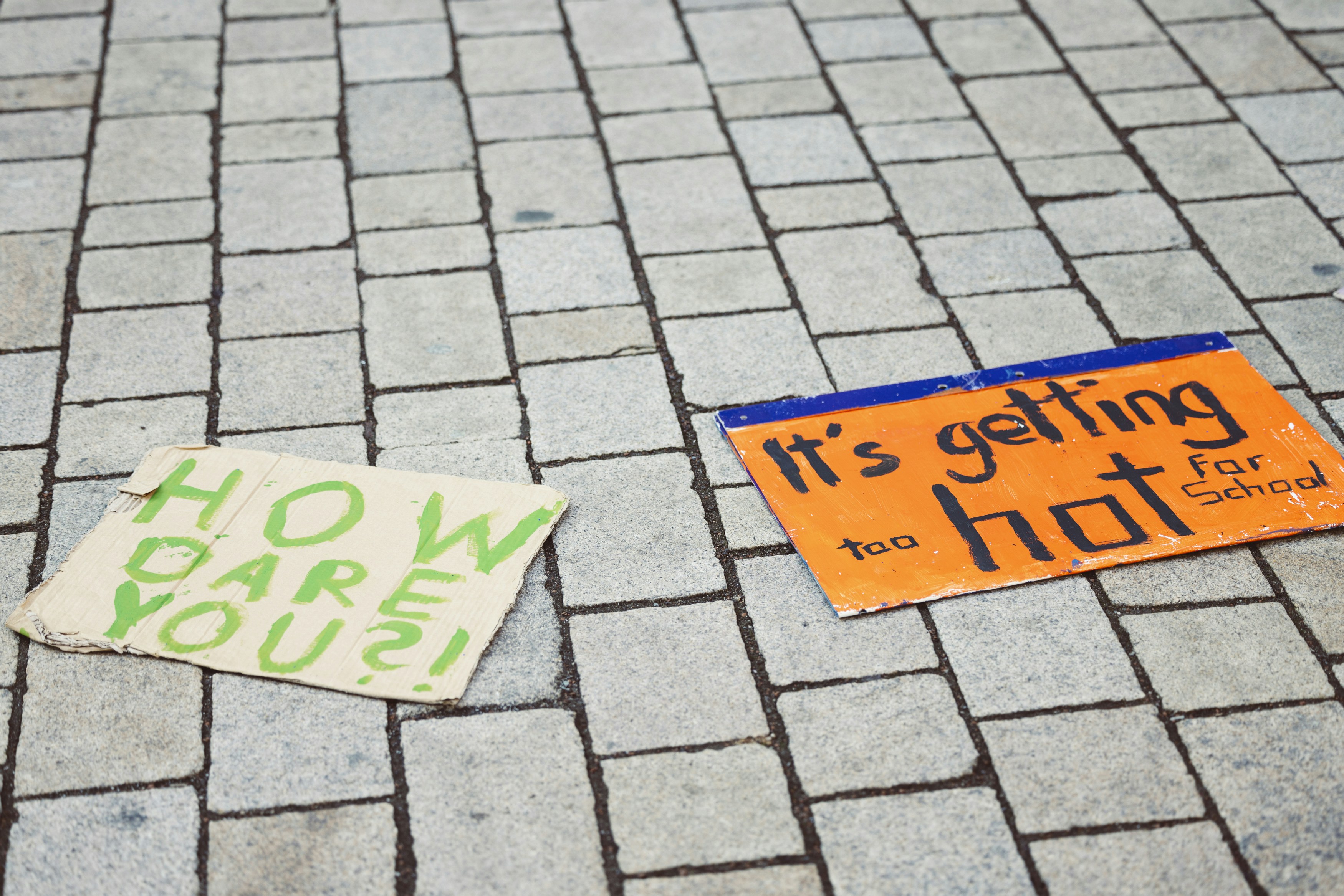 a couple of signs that are on the ground