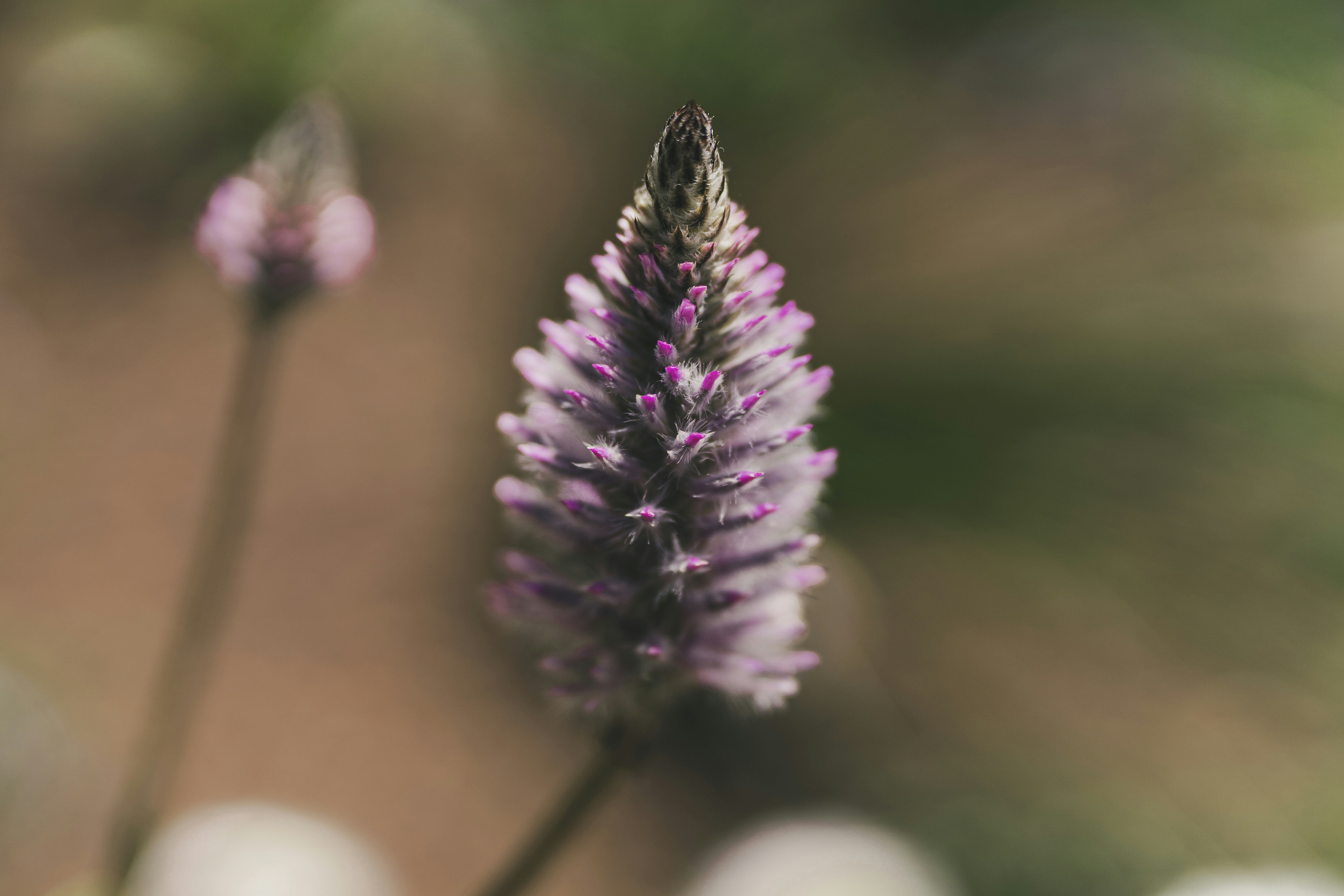 Photo by wanderingphotogolfer