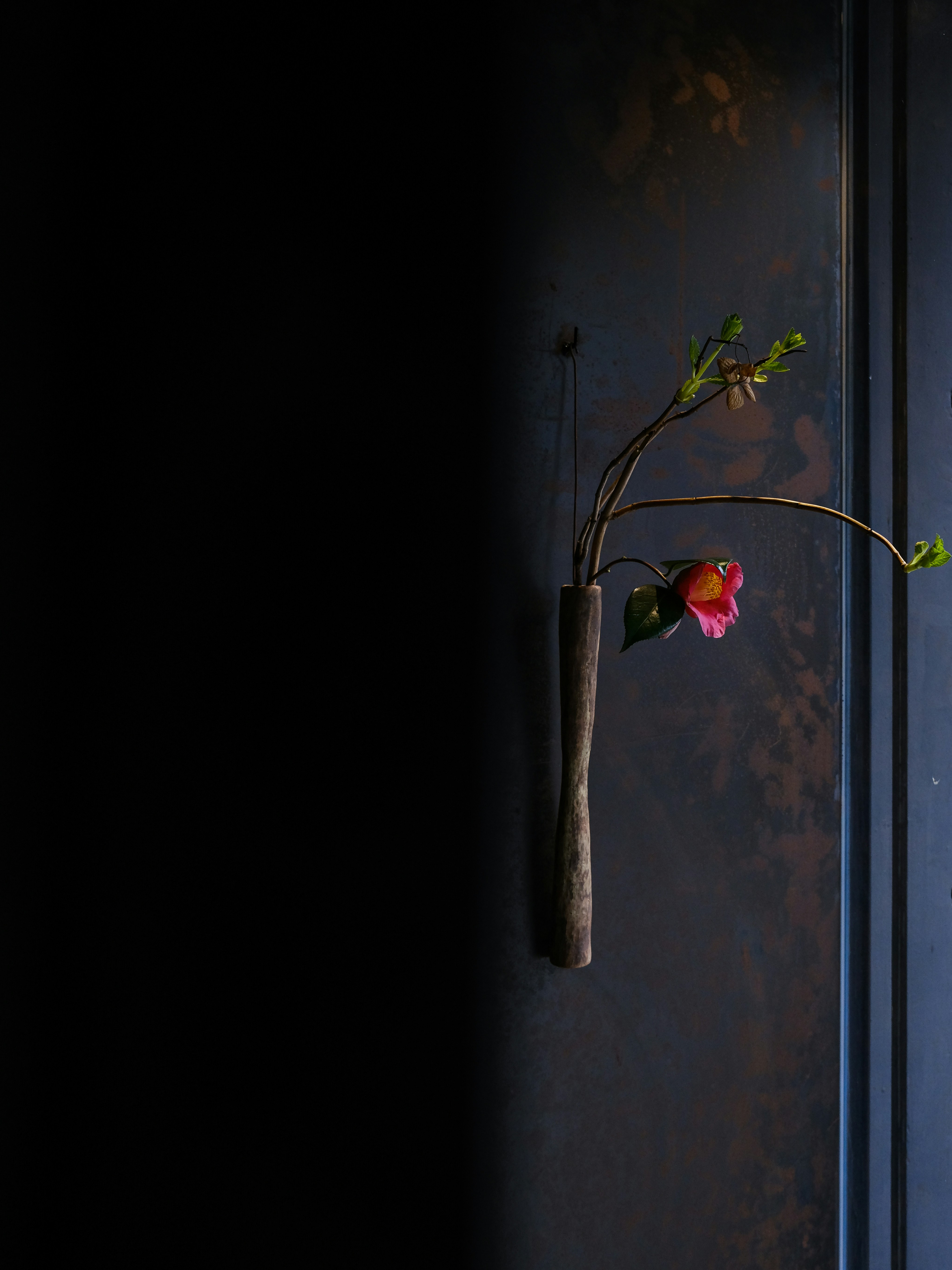 Photo by trantrungh13u