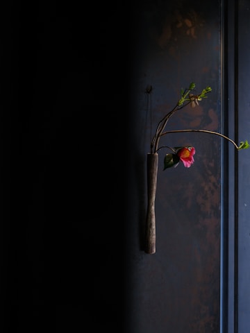 A minimalist modern floral arrangement in fuchsia and white tones displayed on a sleek gray background.