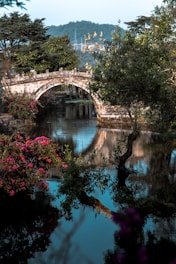 a bridge over a body of water surrounded by trees in baoshan