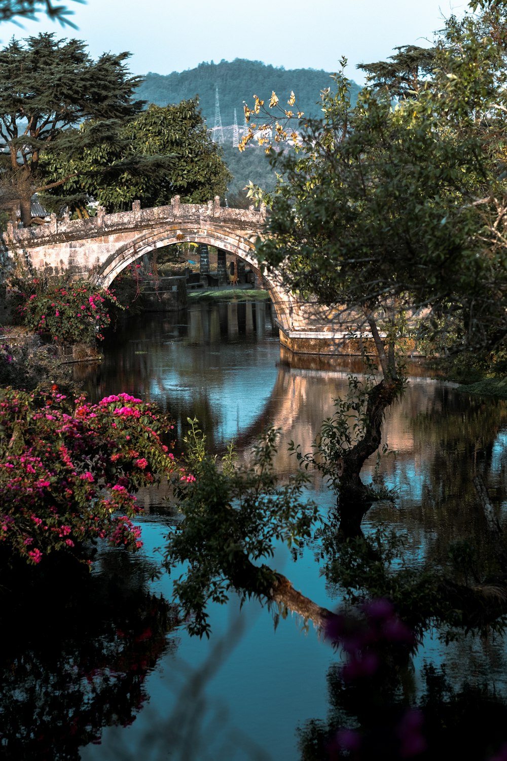 a bridge over a body of water surrounded by trees