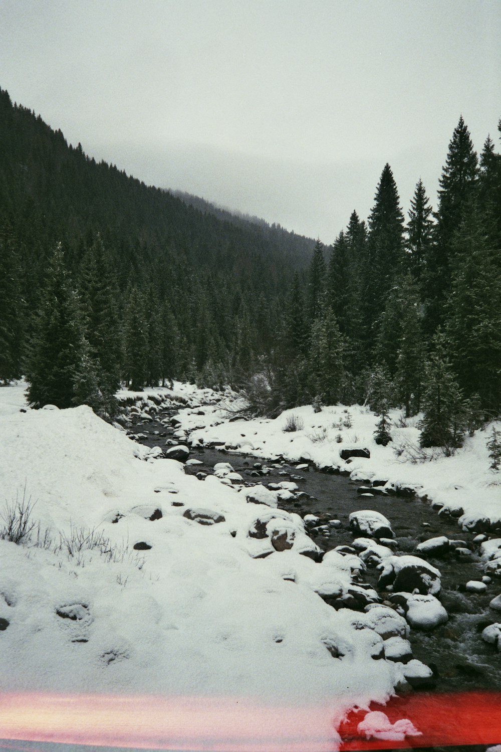 a stream running through a snow covered forest