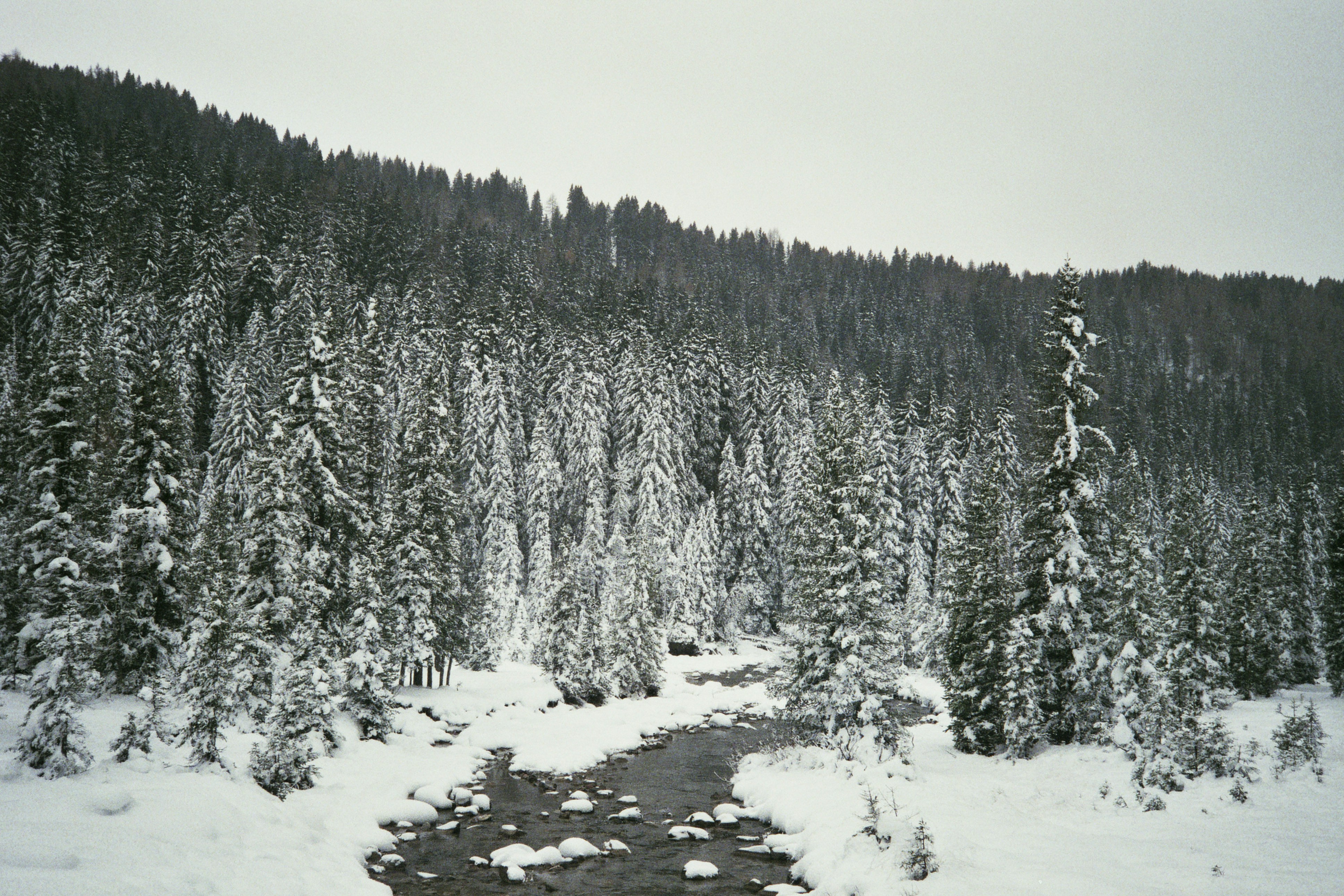 Photo by damiano_baschiera