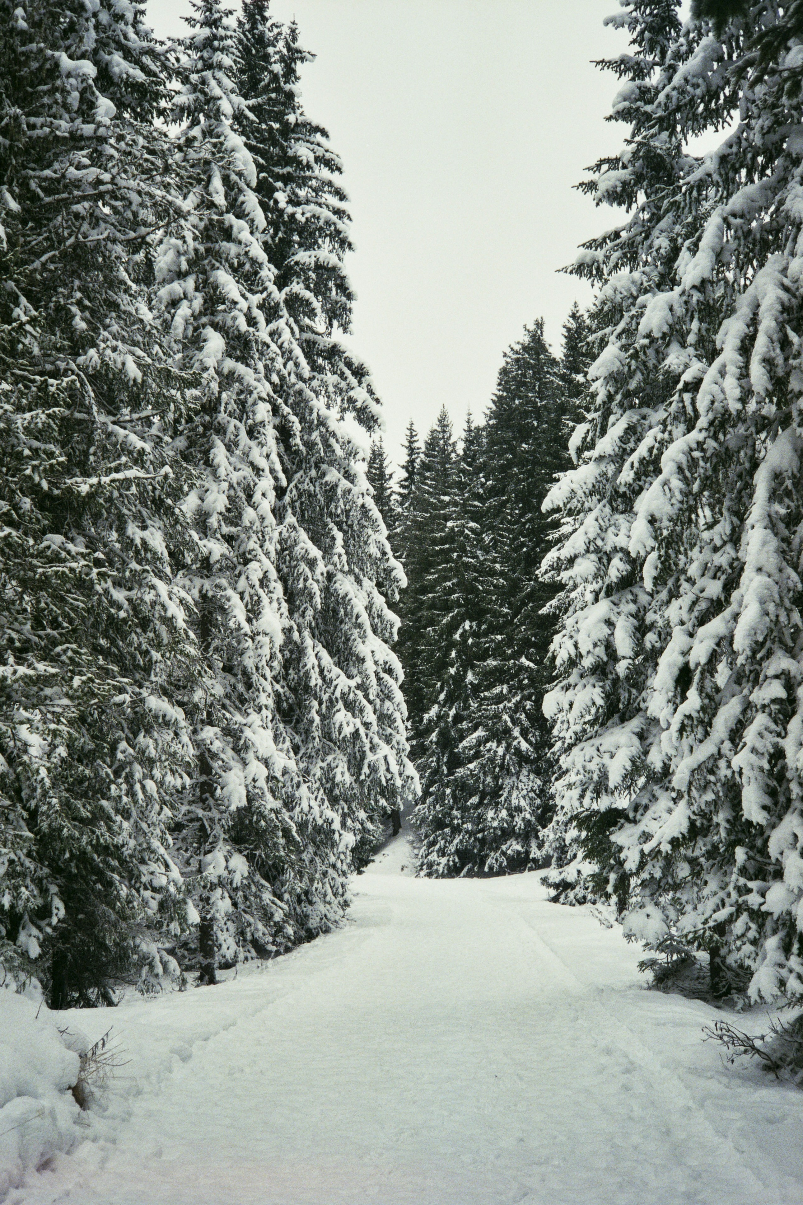 Photo by damiano_baschiera