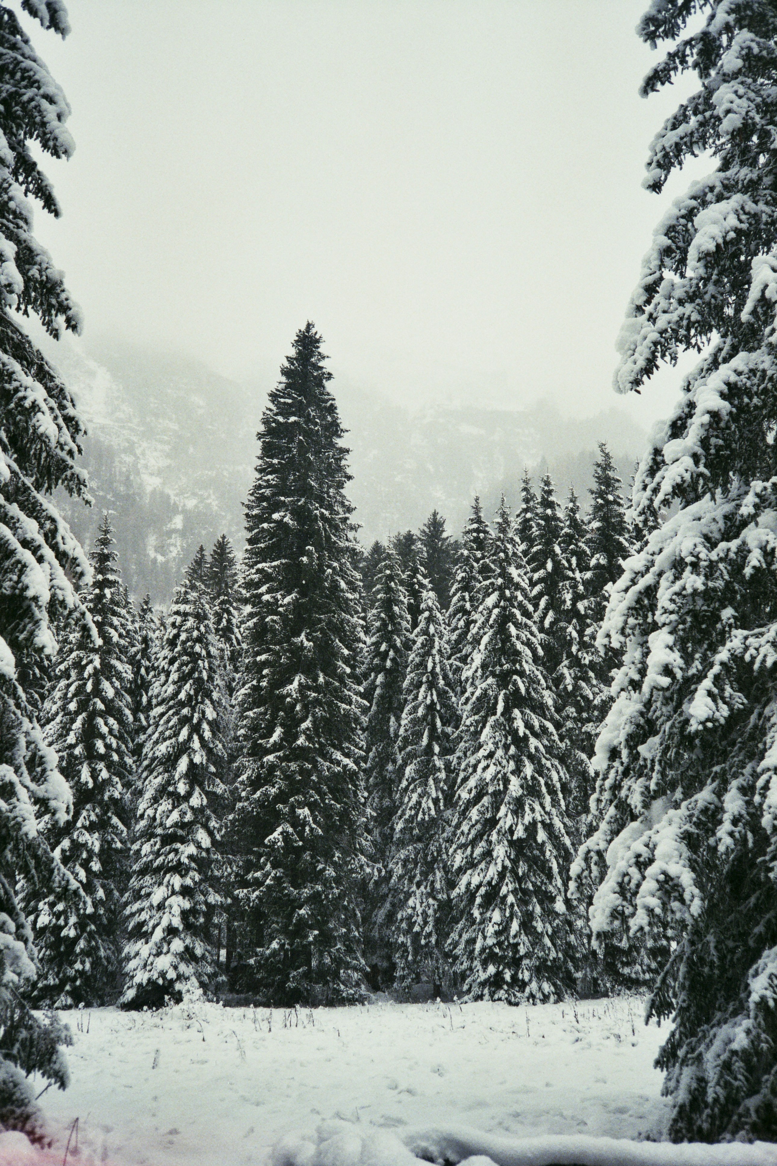 Photo by damiano_baschiera