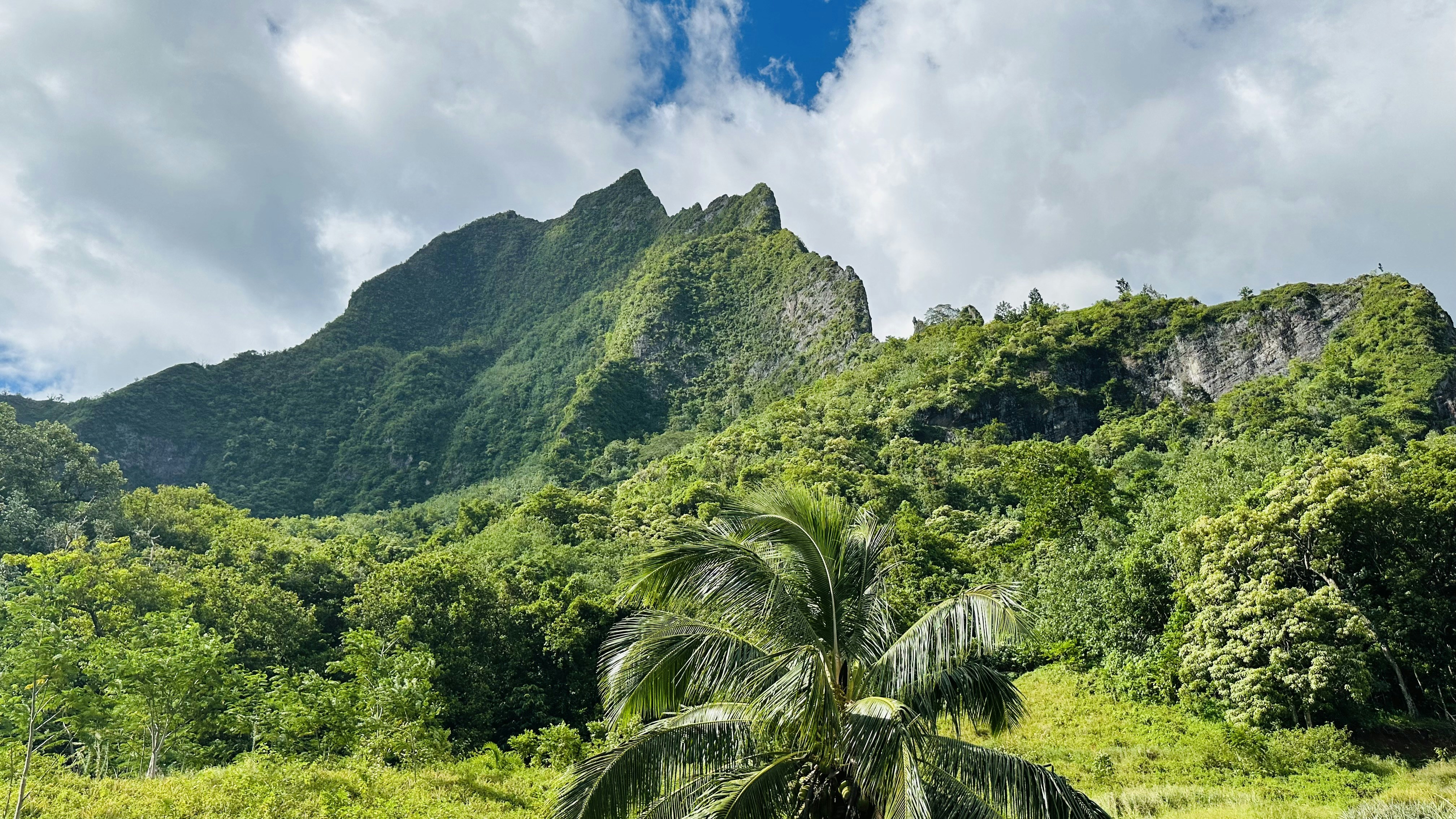 Stay online in the French Polynesia with a prepaid eSIM from eSIMlii. Instant activation, no roaming charges, and reliable coverage.