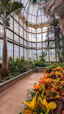a large greenhouse filled with lots of plants