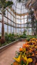 a large greenhouse filled with lots of plants