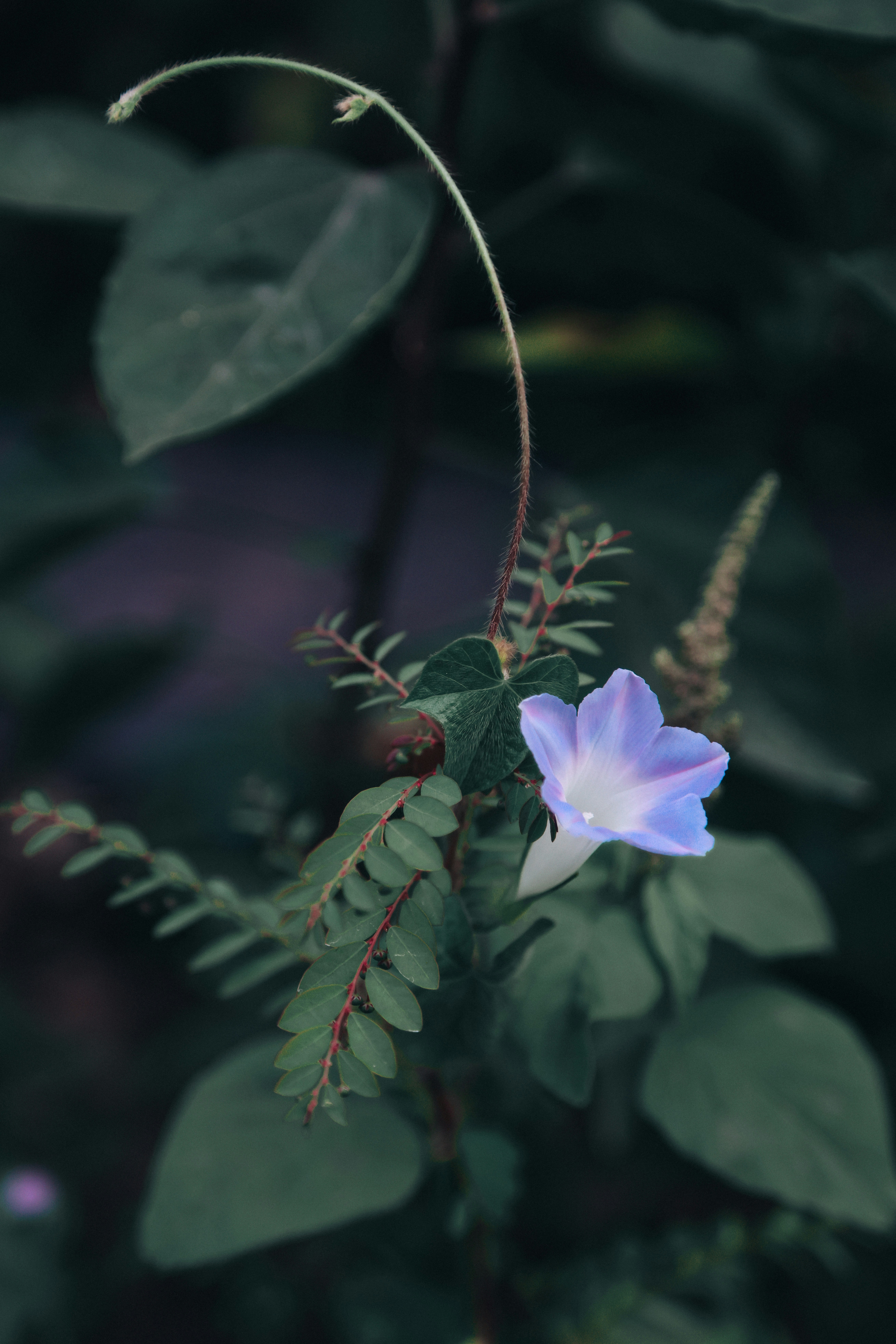 Photo by dickenslin76