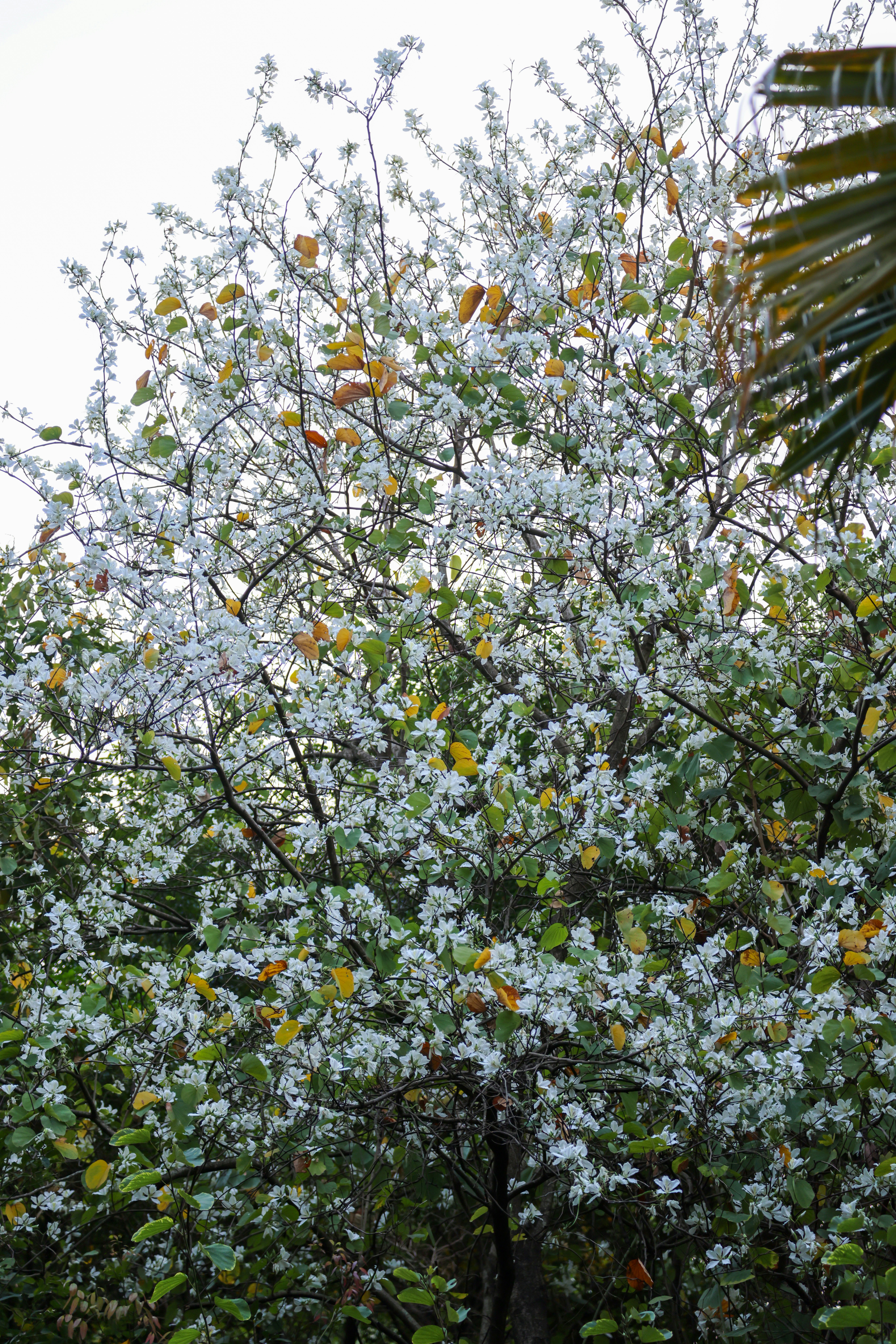 Photo by dickenslin76