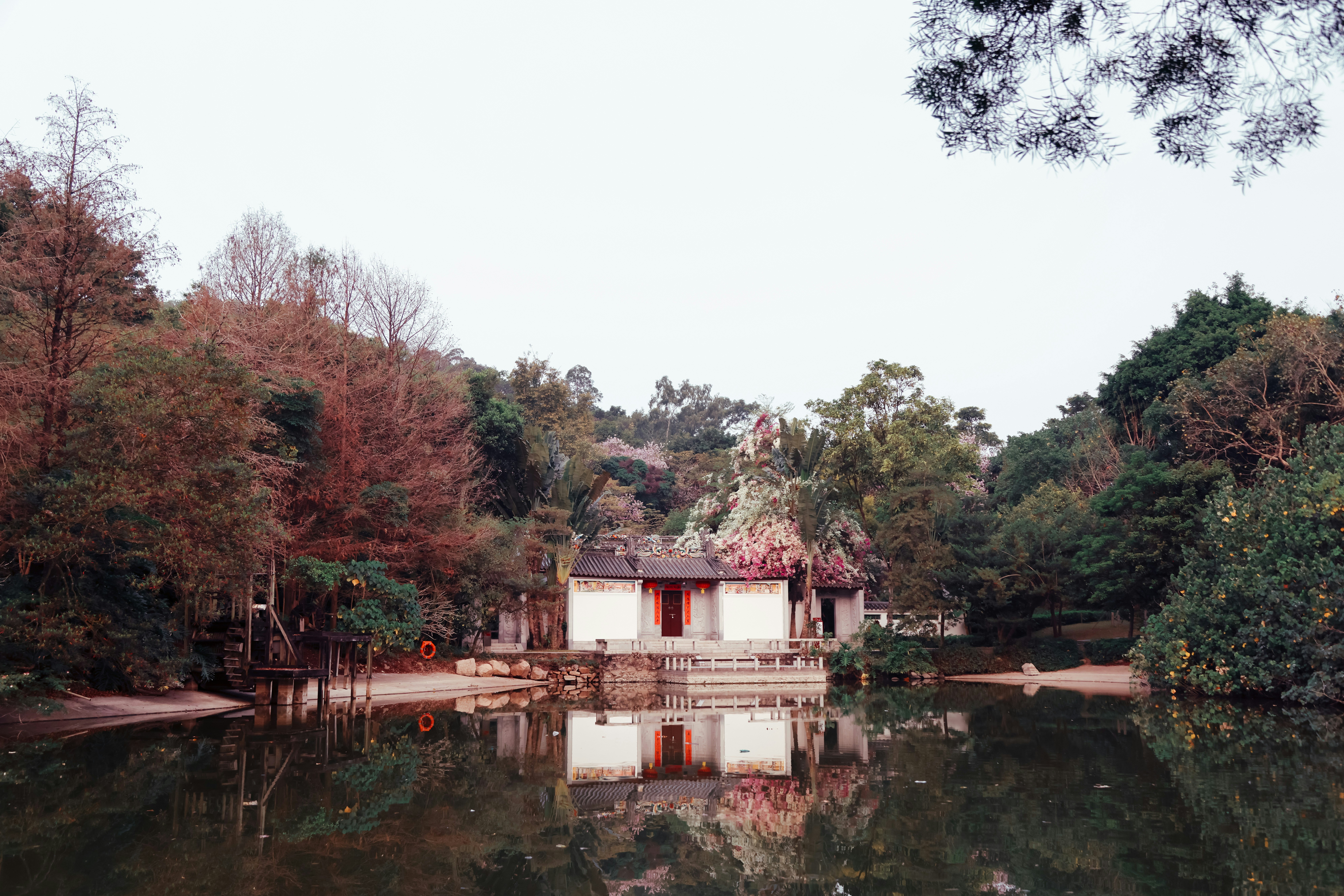 Photo by dickenslin76