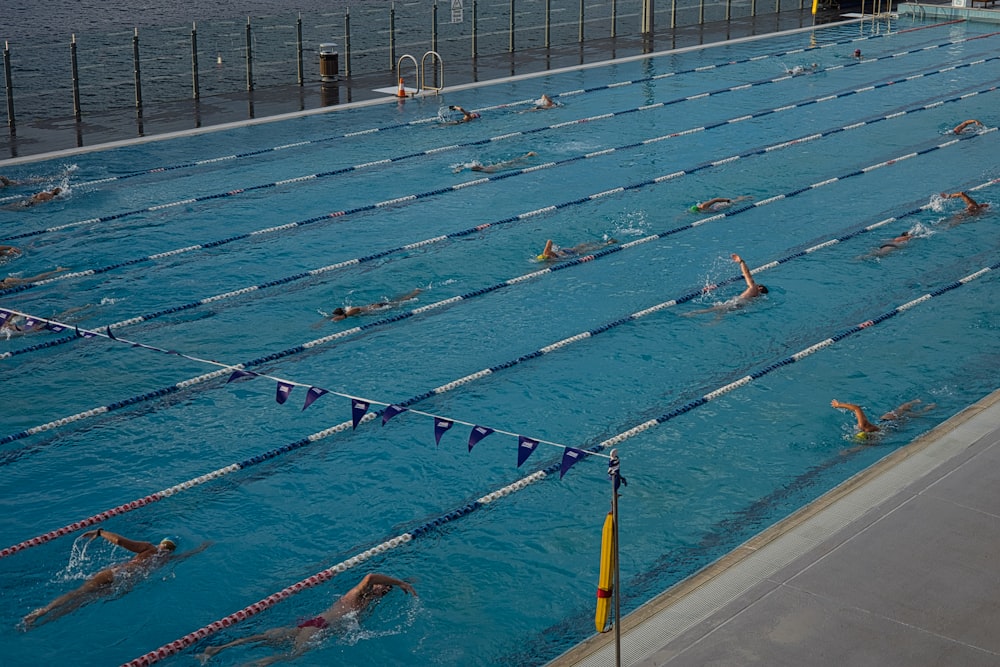 a group of people swimming in a large pool