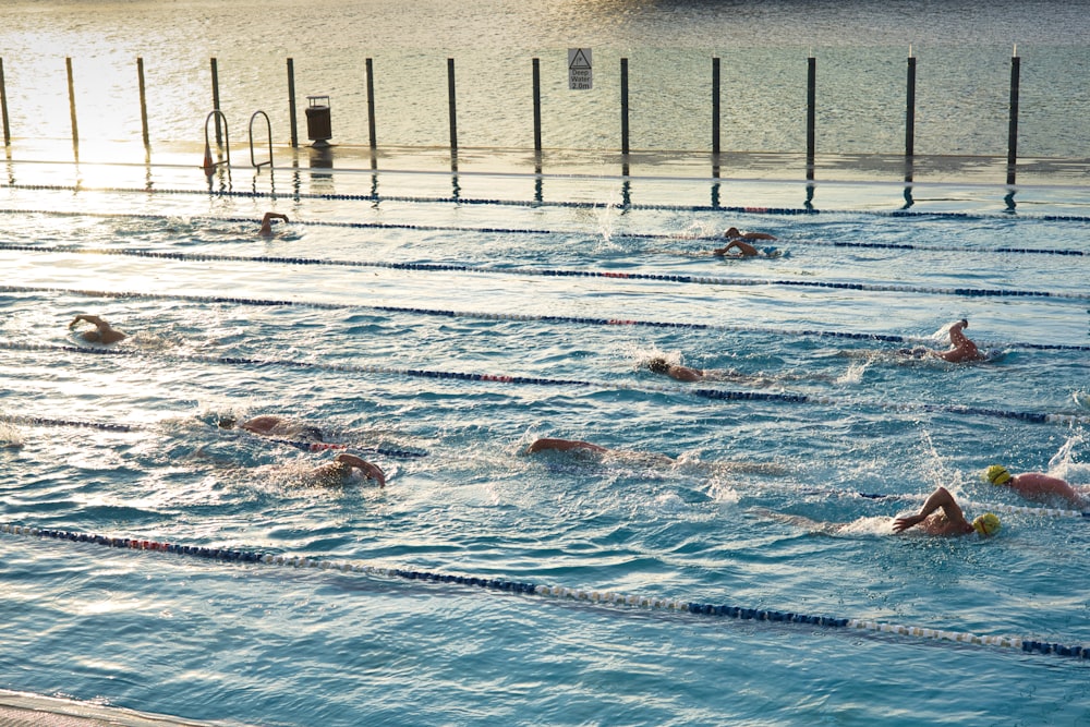 a group of people swimming in a pool