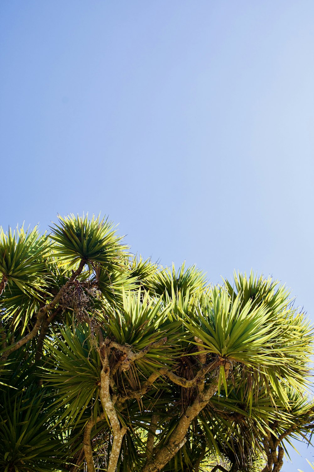 a bird is perched on a tree branch