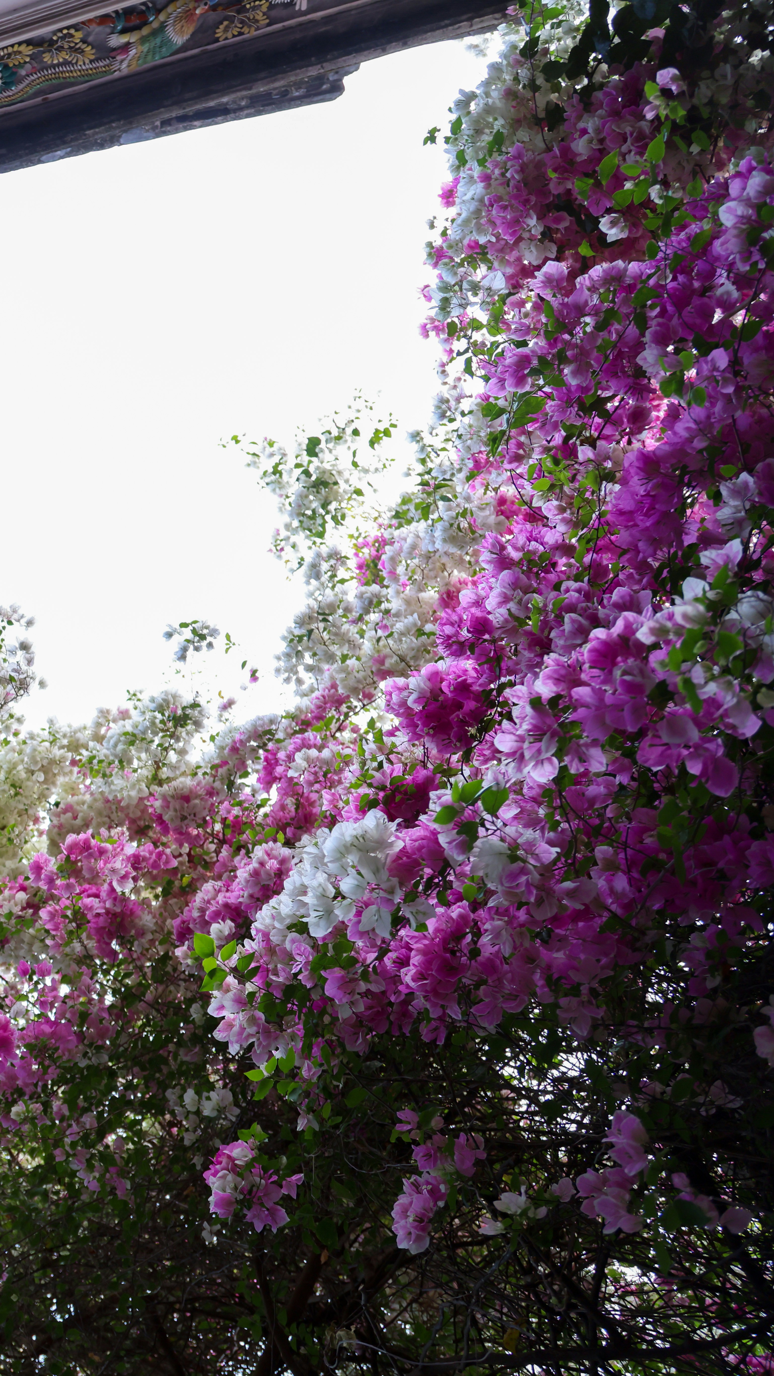 Photo by dickenslin76