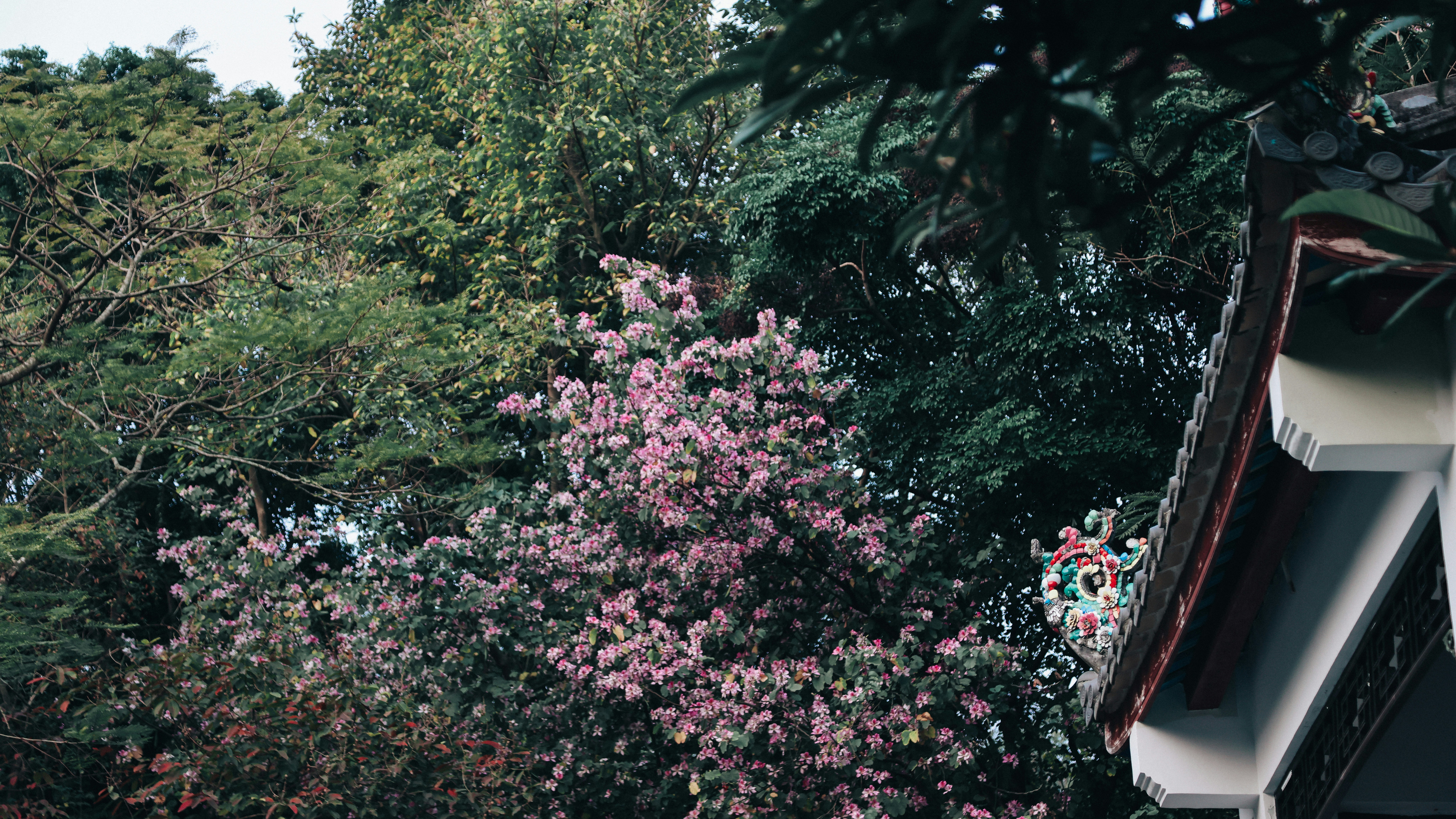 Photo by dickenslin76