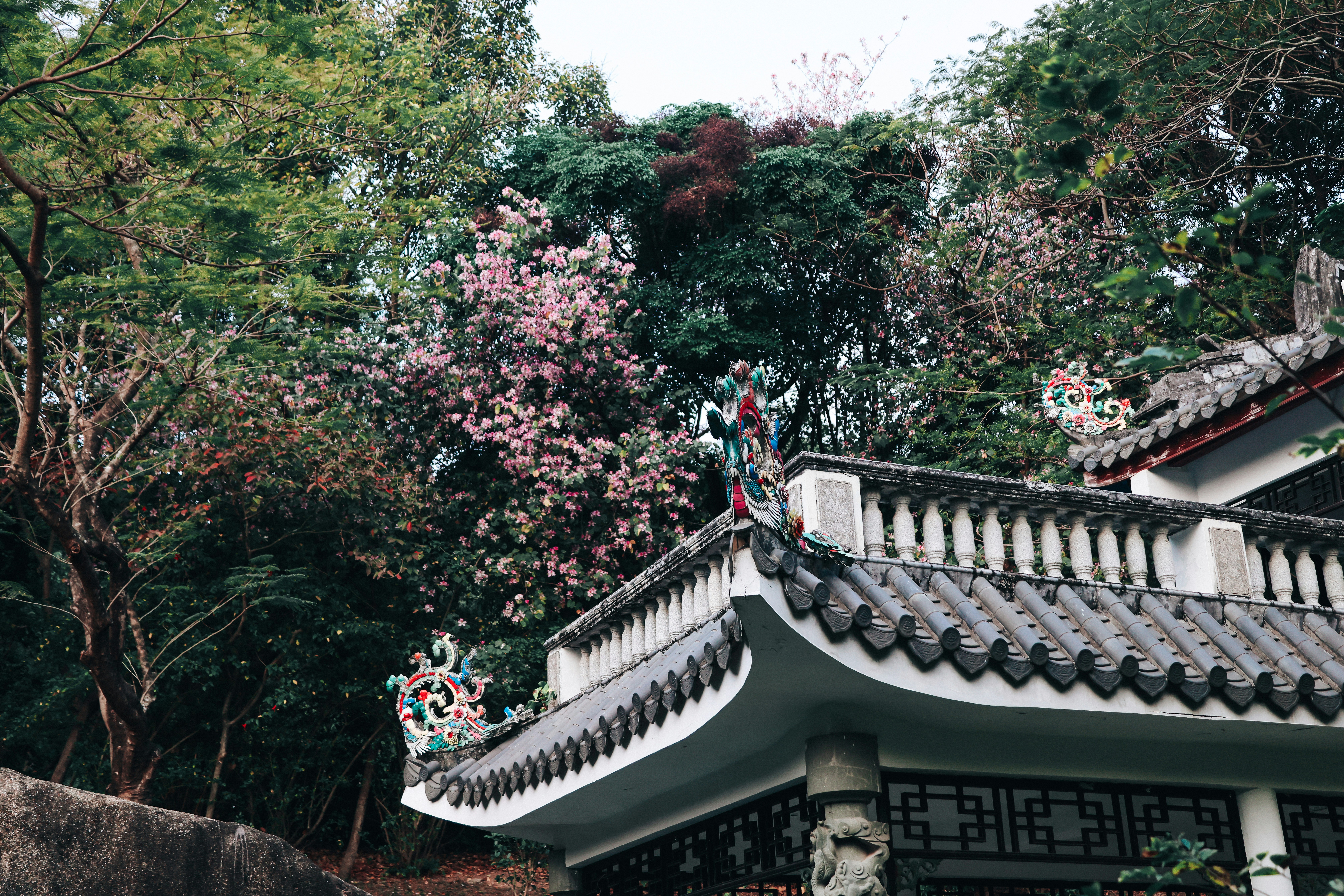 Photo by dickenslin76