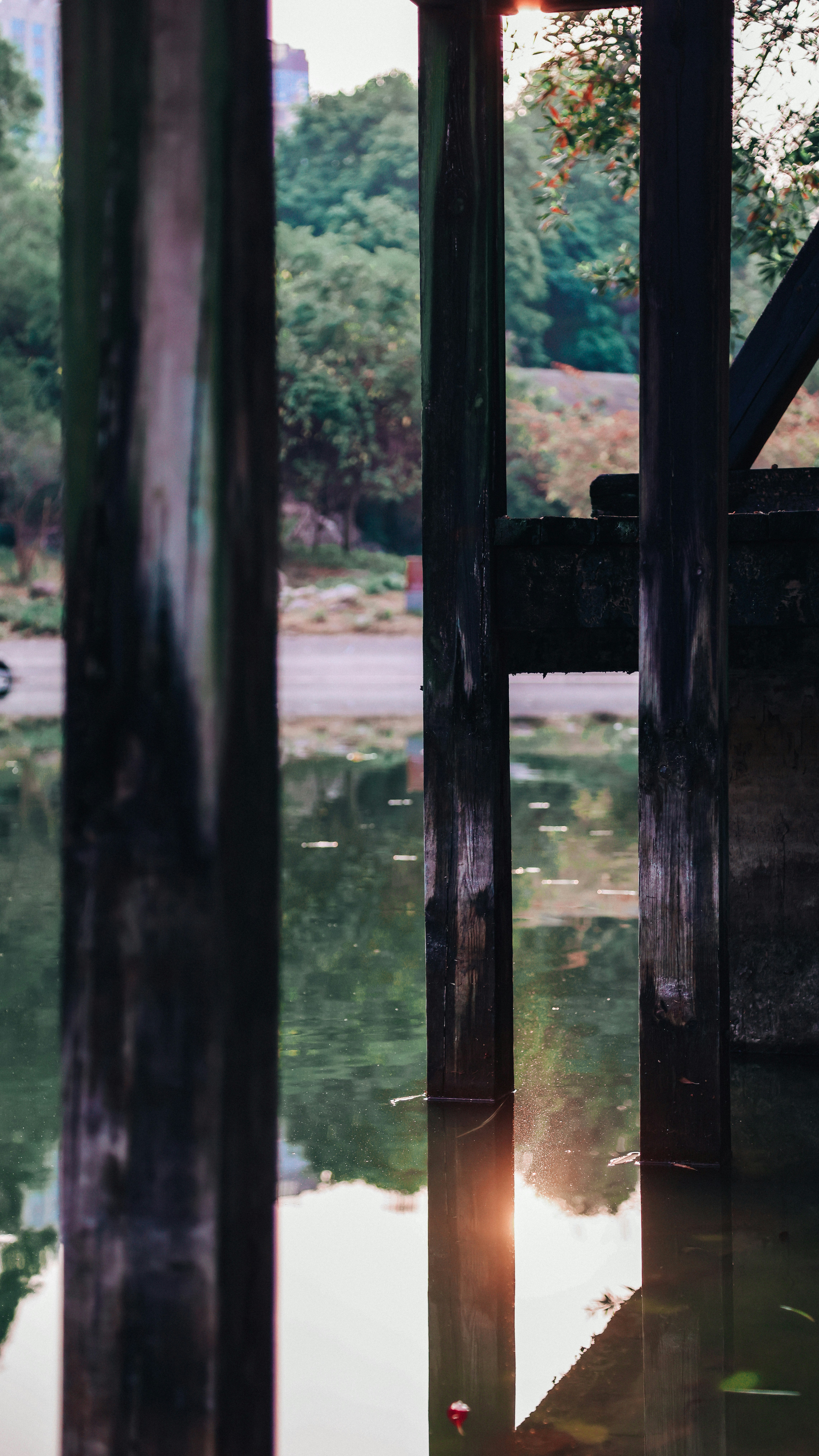 Photo by dickenslin76