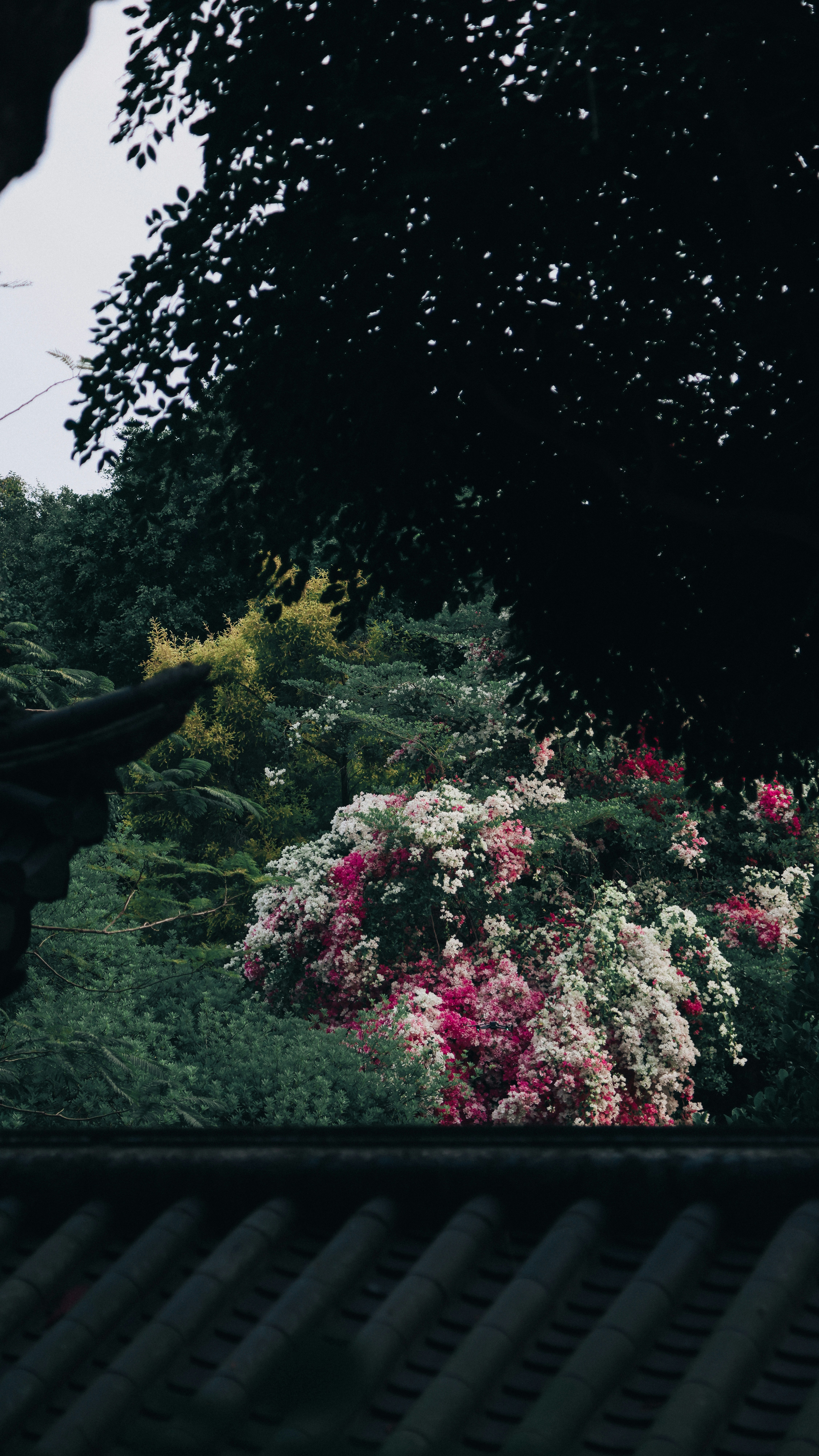 Photo by dickenslin76