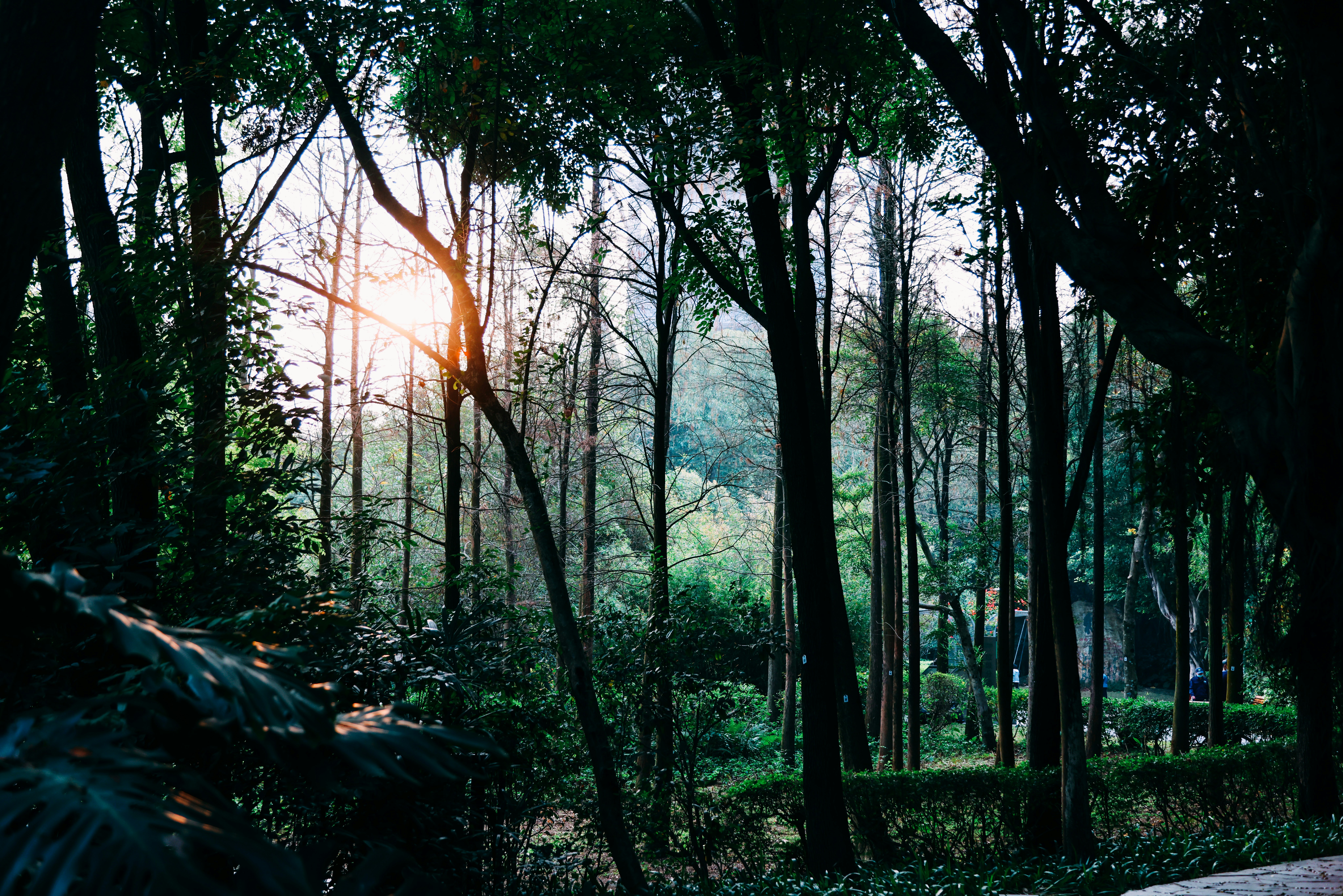 Photo by dickenslin76