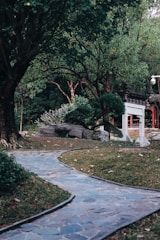 A serene garden representing natural healing and ancestral wisdom.