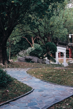 A serene backyard garden with winding stone paths and blooming flowers in naturalistic style.