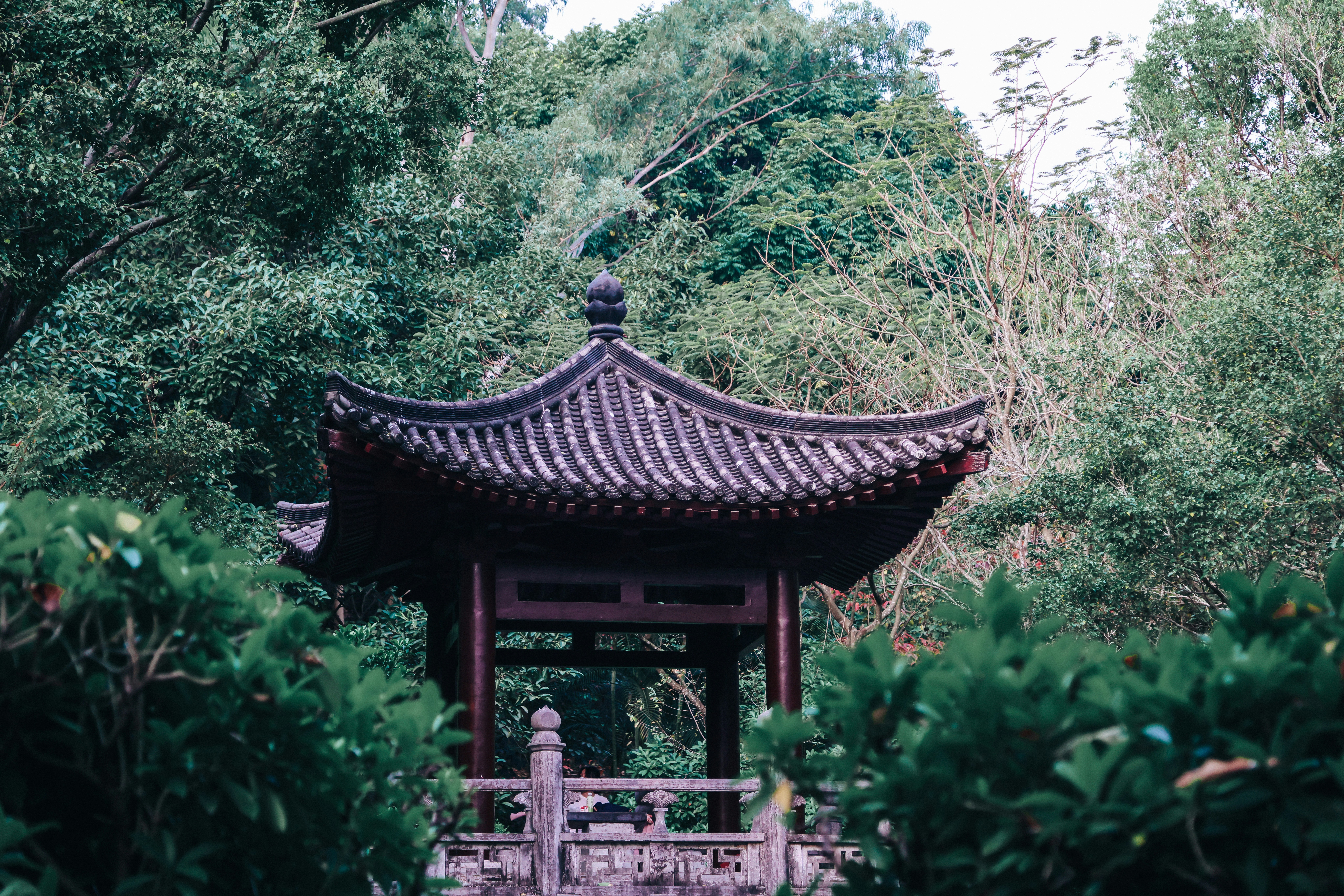 Photo by dickenslin76