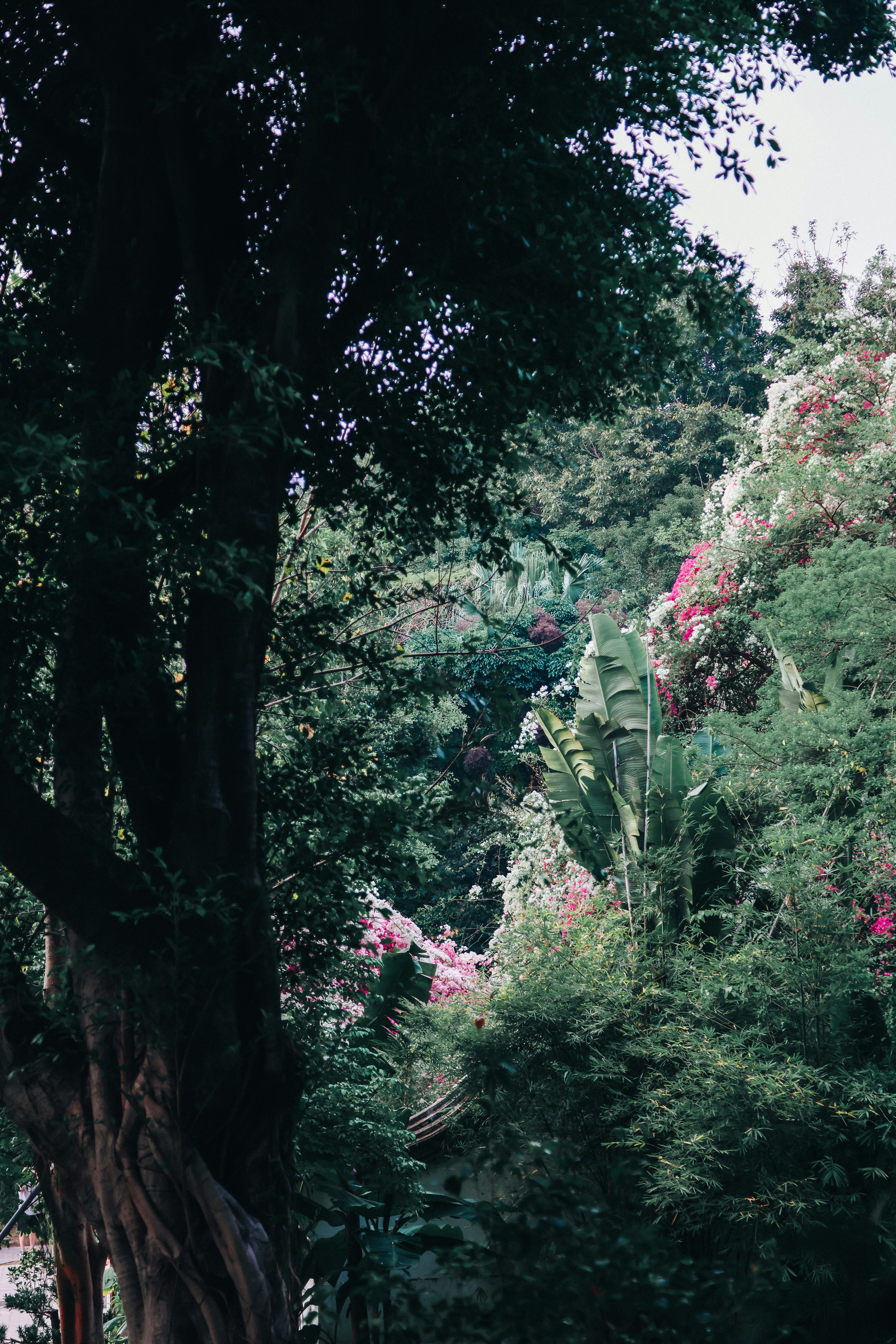 Photo by dickenslin76