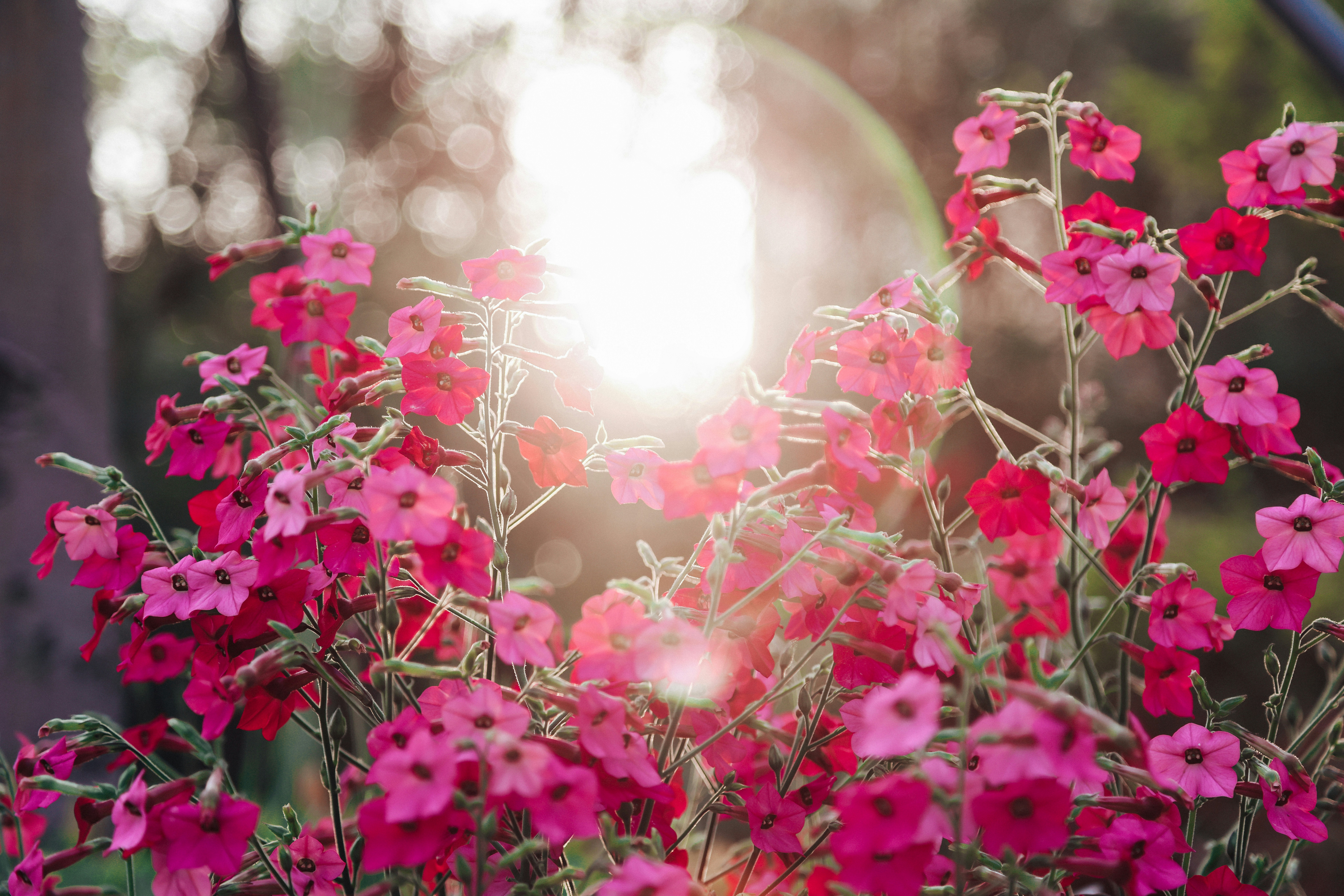 Photo by dickenslin76