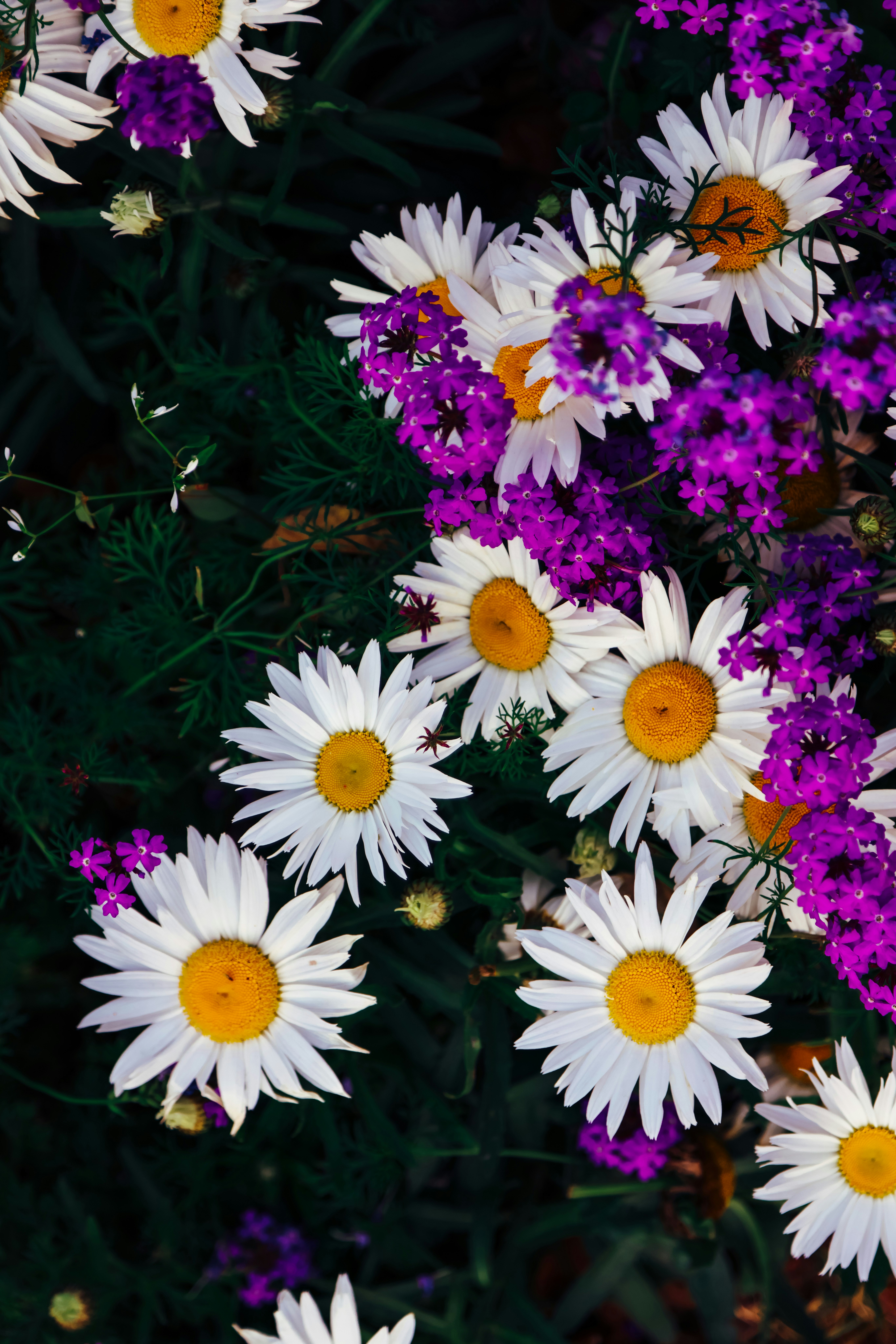 Photo by dickenslin76