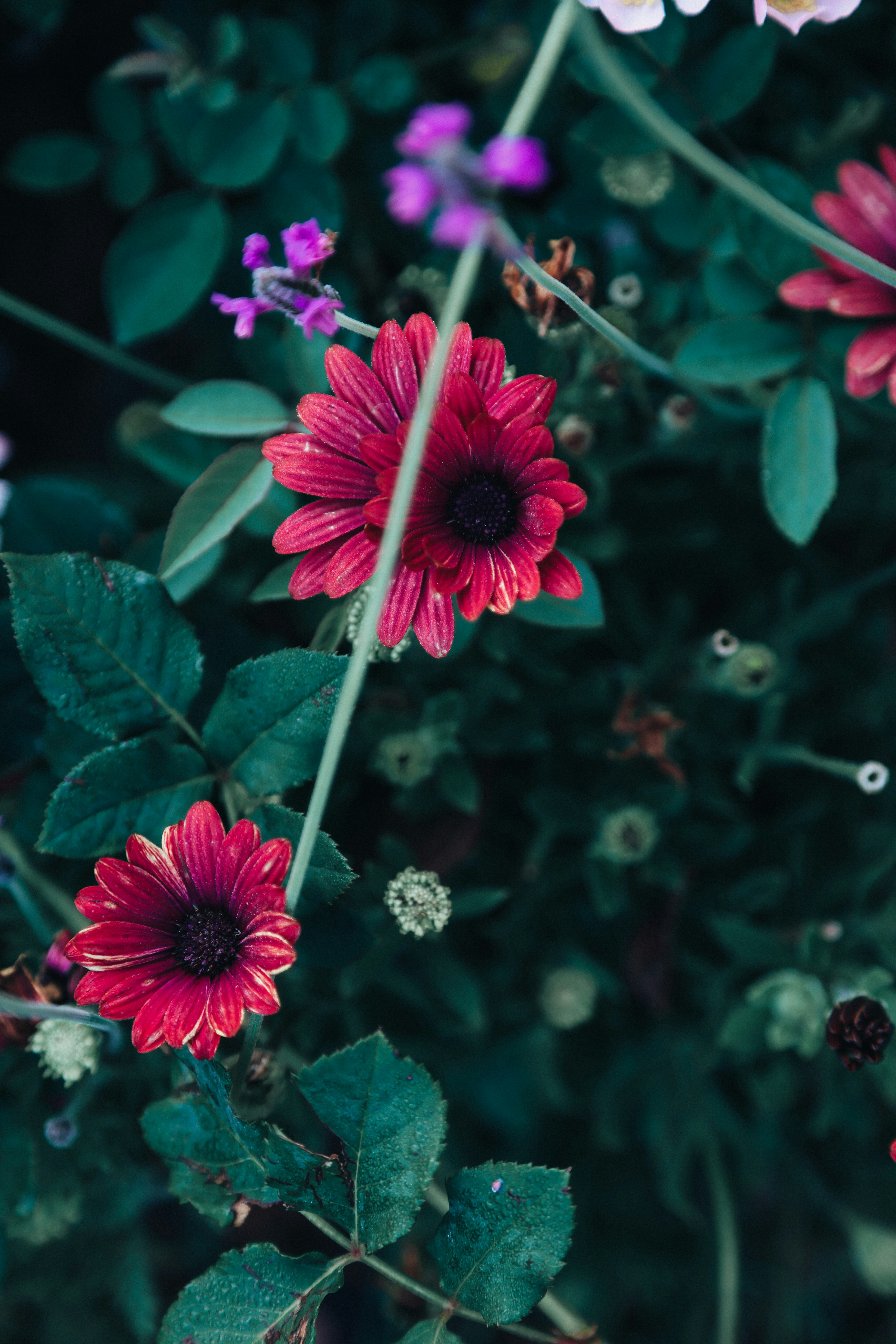 Photo by dickenslin76