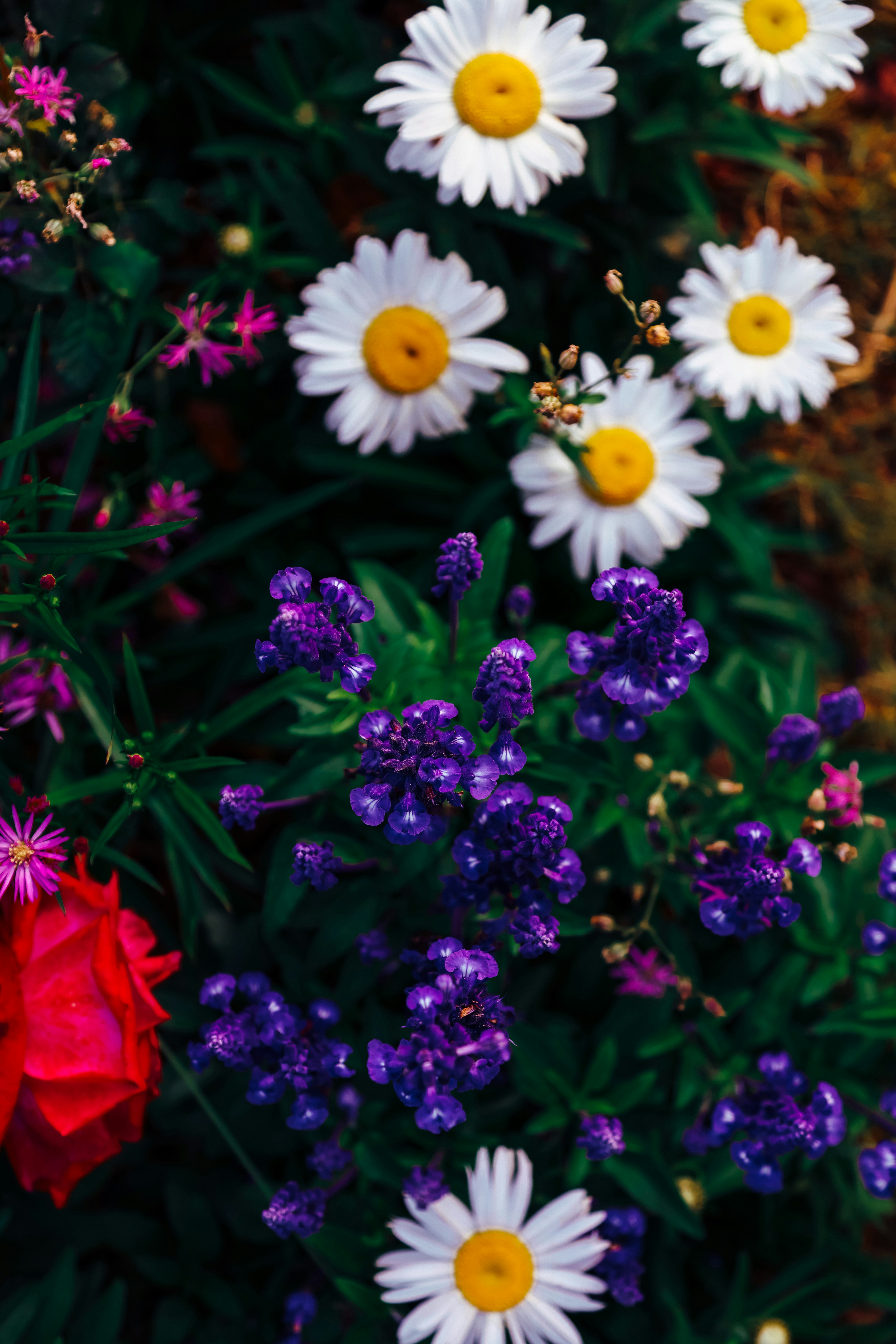 Photo by dickenslin76