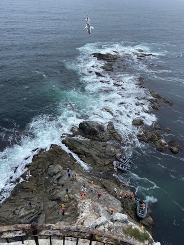 A coastal scene with rocky outcrops surrounded by the ocean, where several people are gathered wearing colorful clothing. Inflatable boats are positioned near the edge of the rocks, and birds are flying overhead. The waves crash against the rocks creating white foamy water.