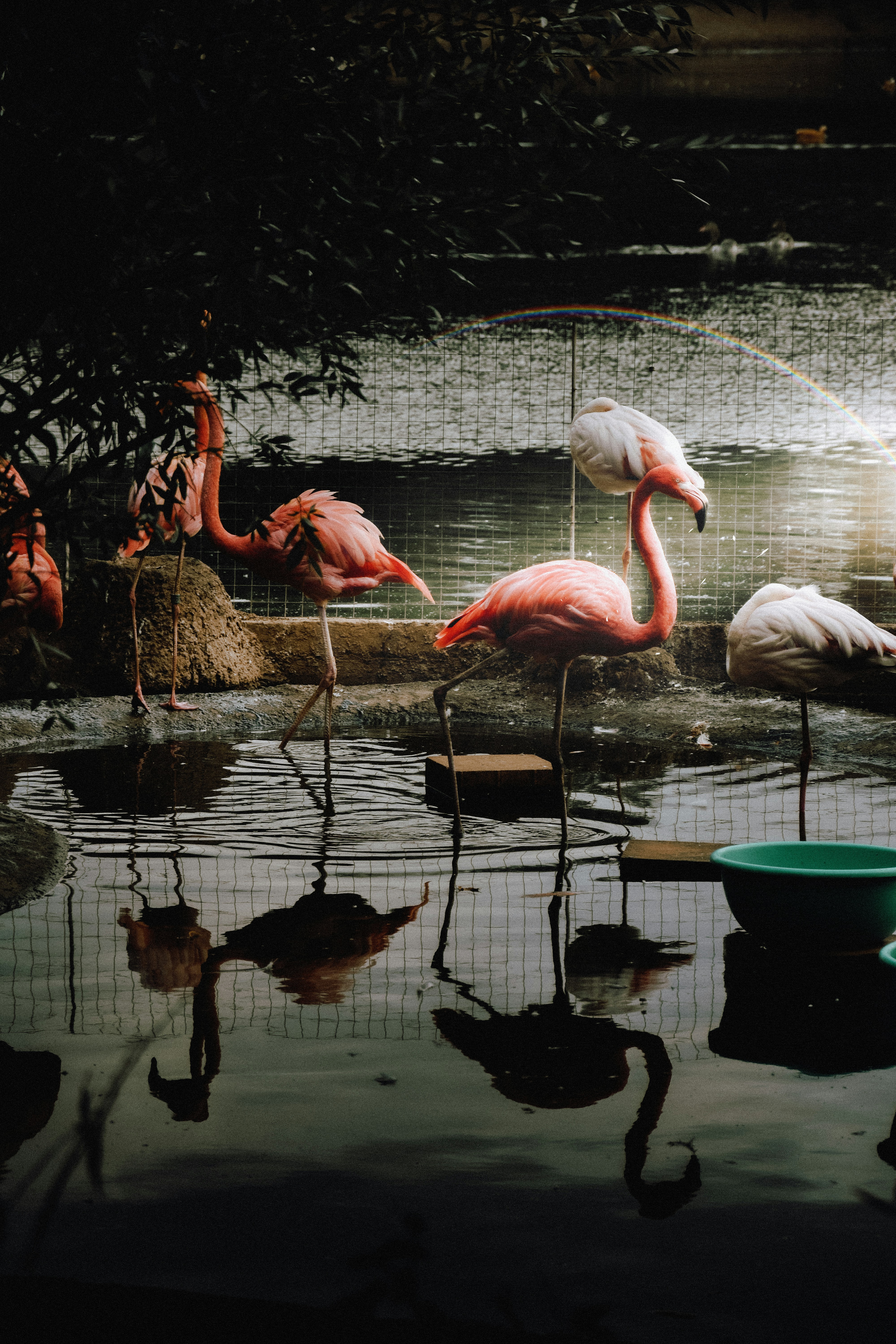 Photo by impermanent