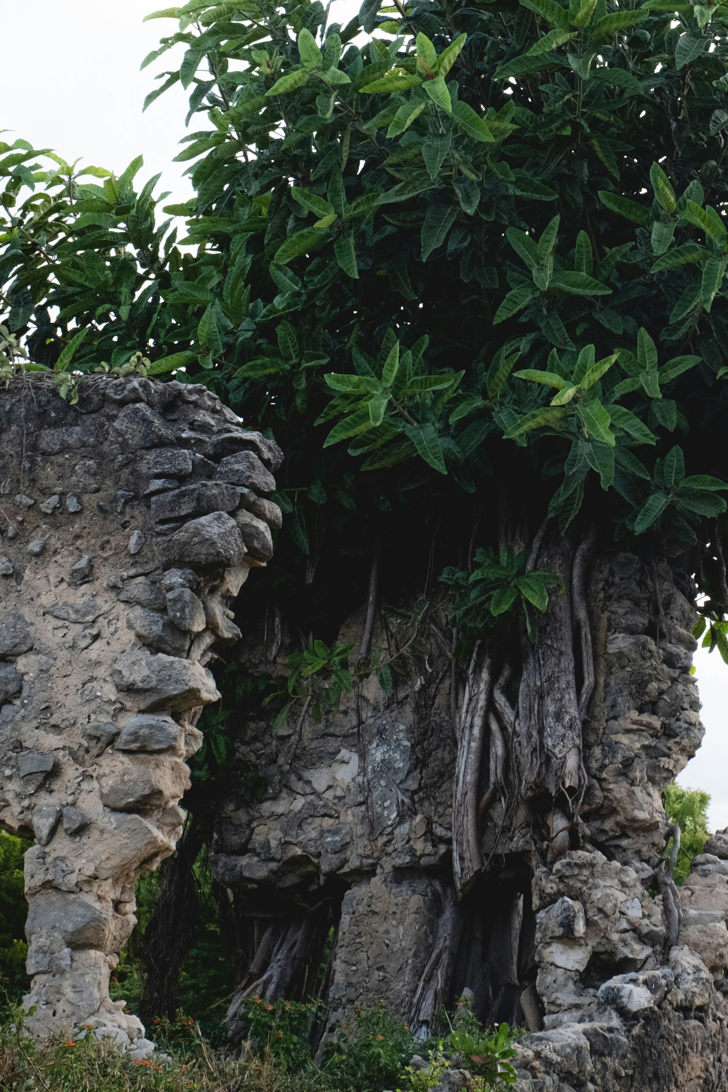 Bagamoyo – Activities & Attractions